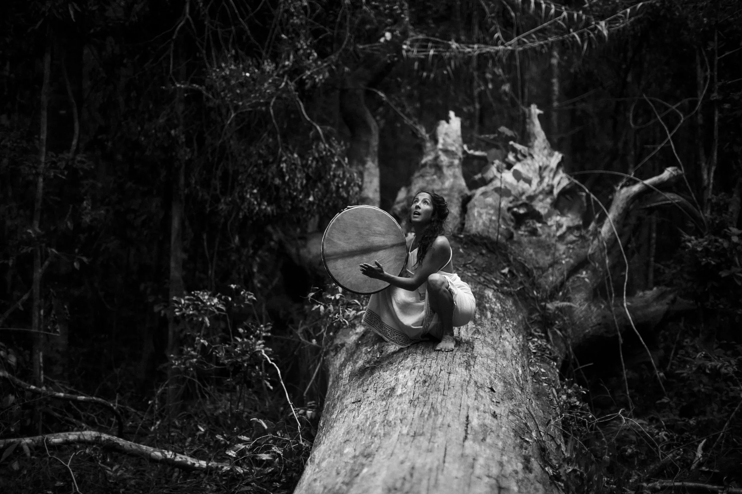 A woman with long hair in a halter dress crouches on a large fallen tree trunk in a dense forest, holding a round shield and looking up with a surprised or awe-struck expression.