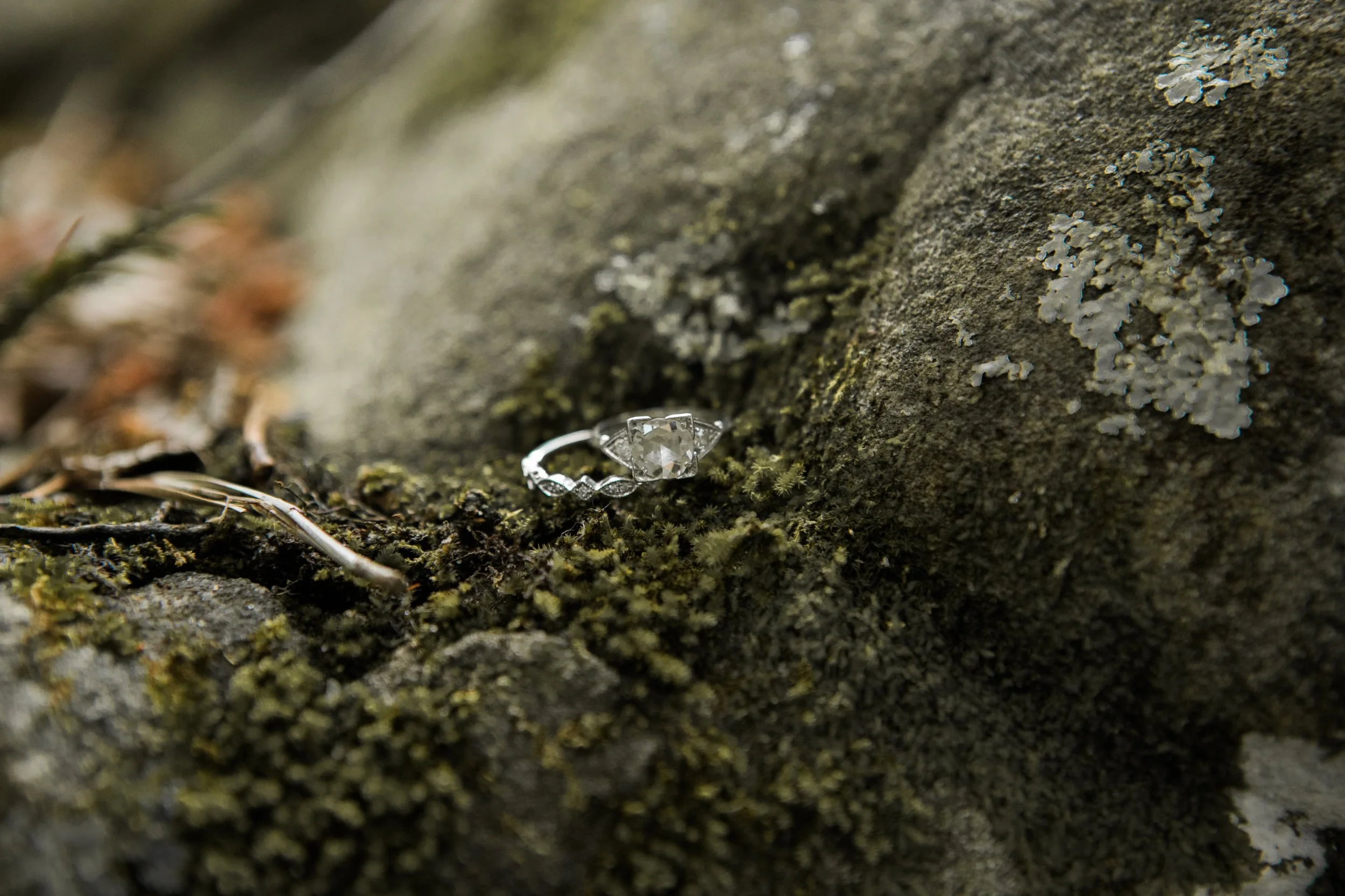 Zach &amp; Michelle | Engagement Session