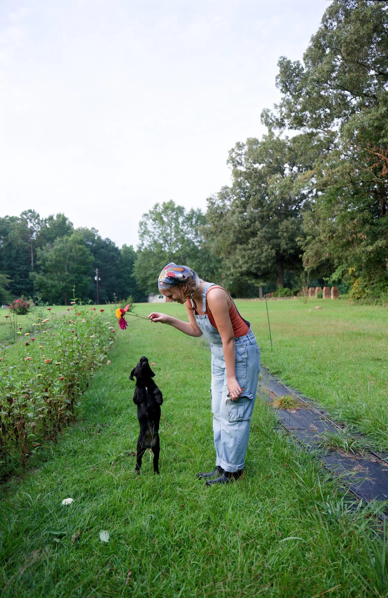 flower farm, portrait, flower portrait, lifestyle photography, senior session, brand session, family session
