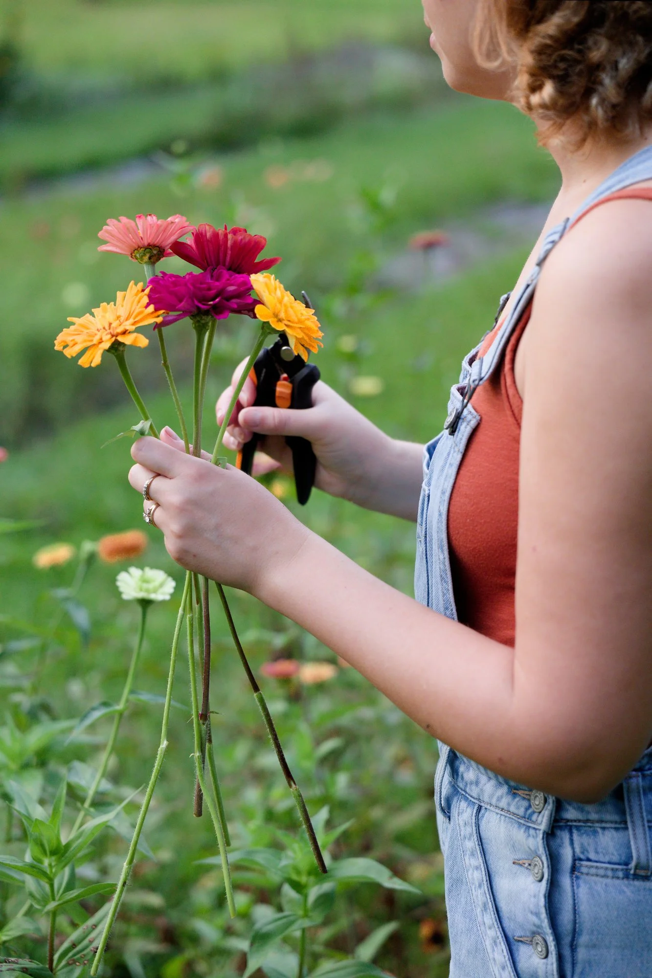 flower farm, portrait, flower portrait, lifestyle photography, senior session, brand session, family session