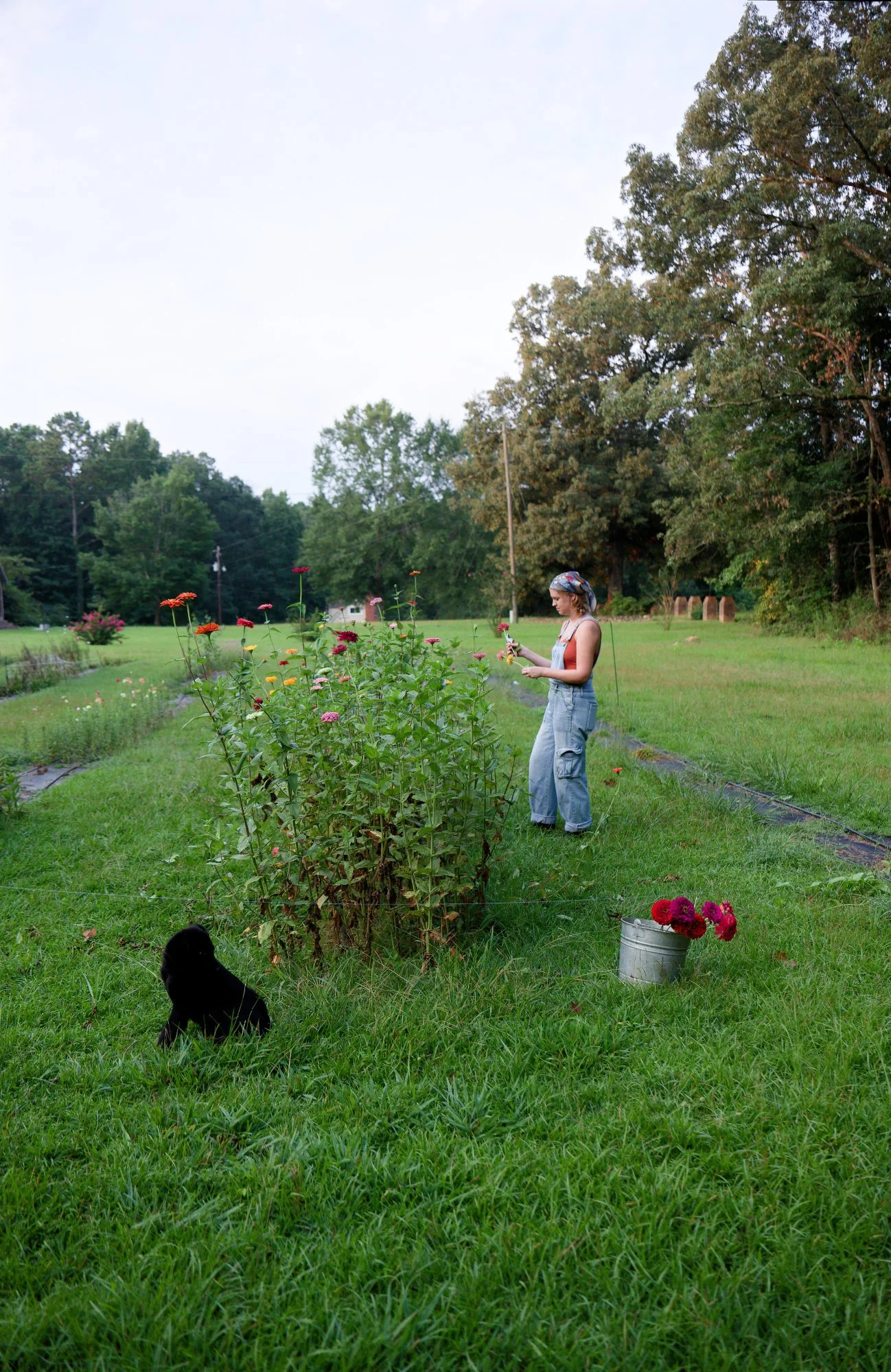 flower farm, portrait, flower portrait, lifestyle photography, senior session, brand session, family session