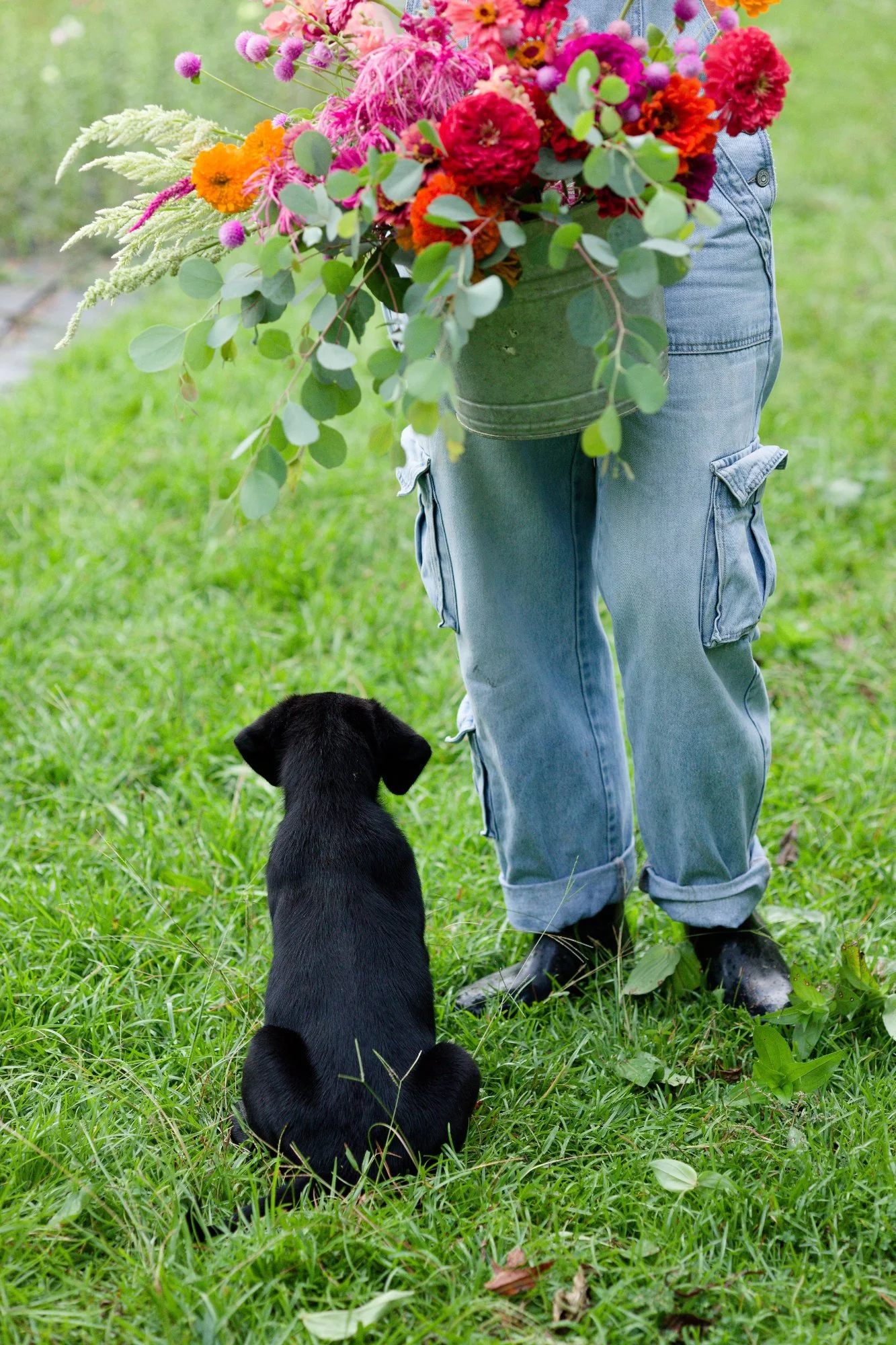 flower farm, portrait, flower portrait, lifestyle photography, senior session, brand session, family session