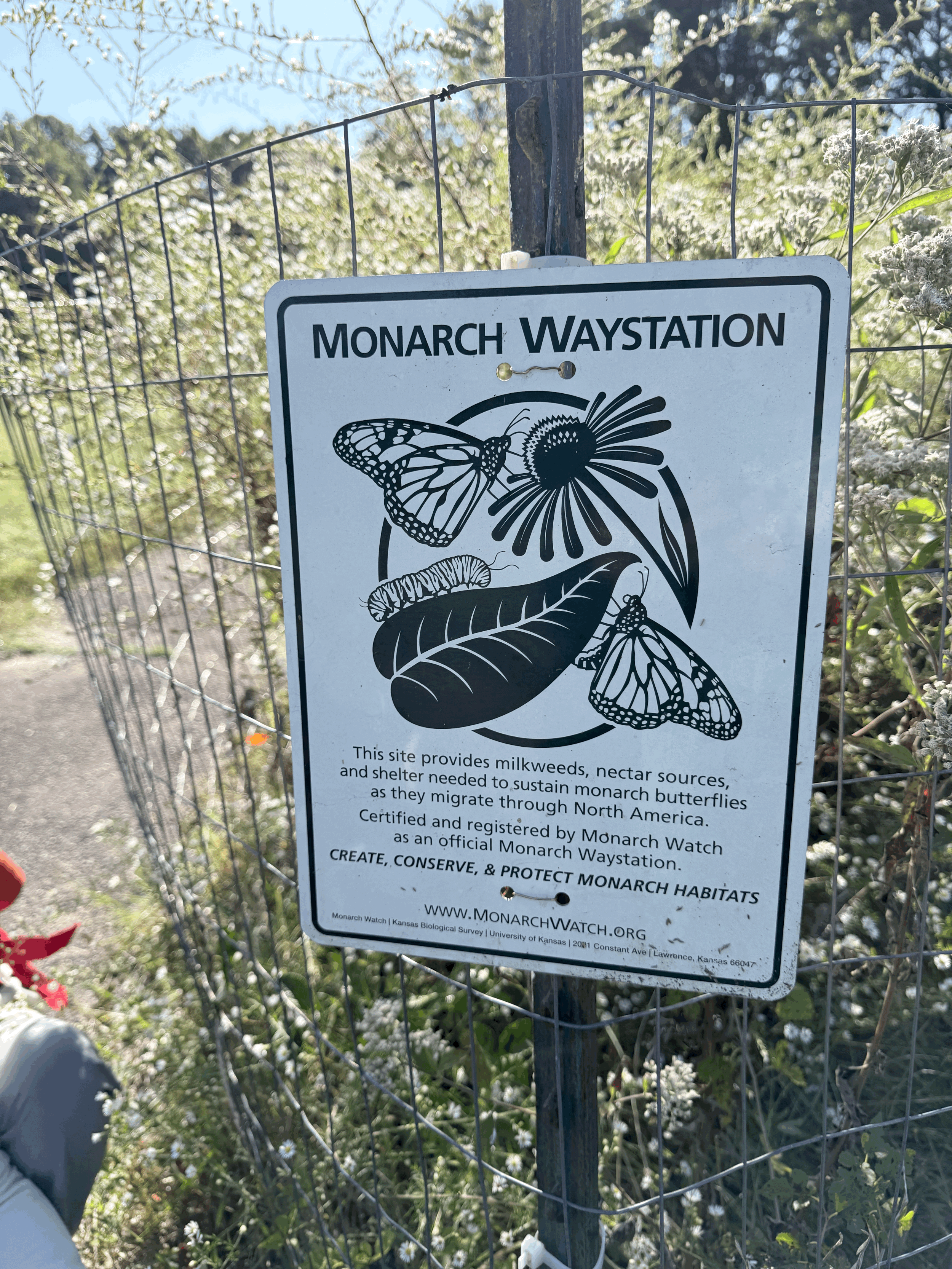 RedGate Park &amp; Arboretum, Into Perpetuity