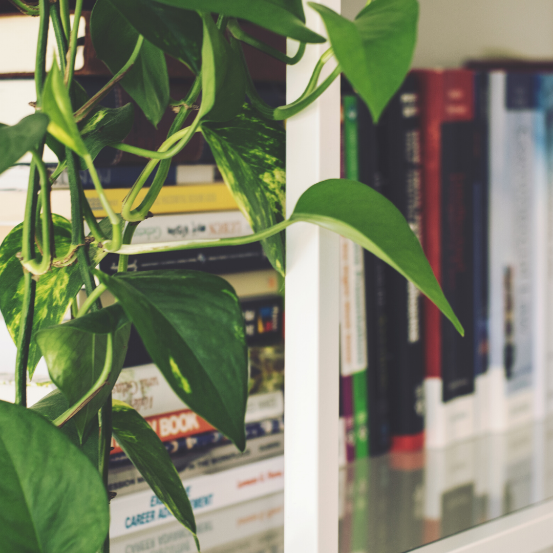 Bookshelves don't have to be boring.