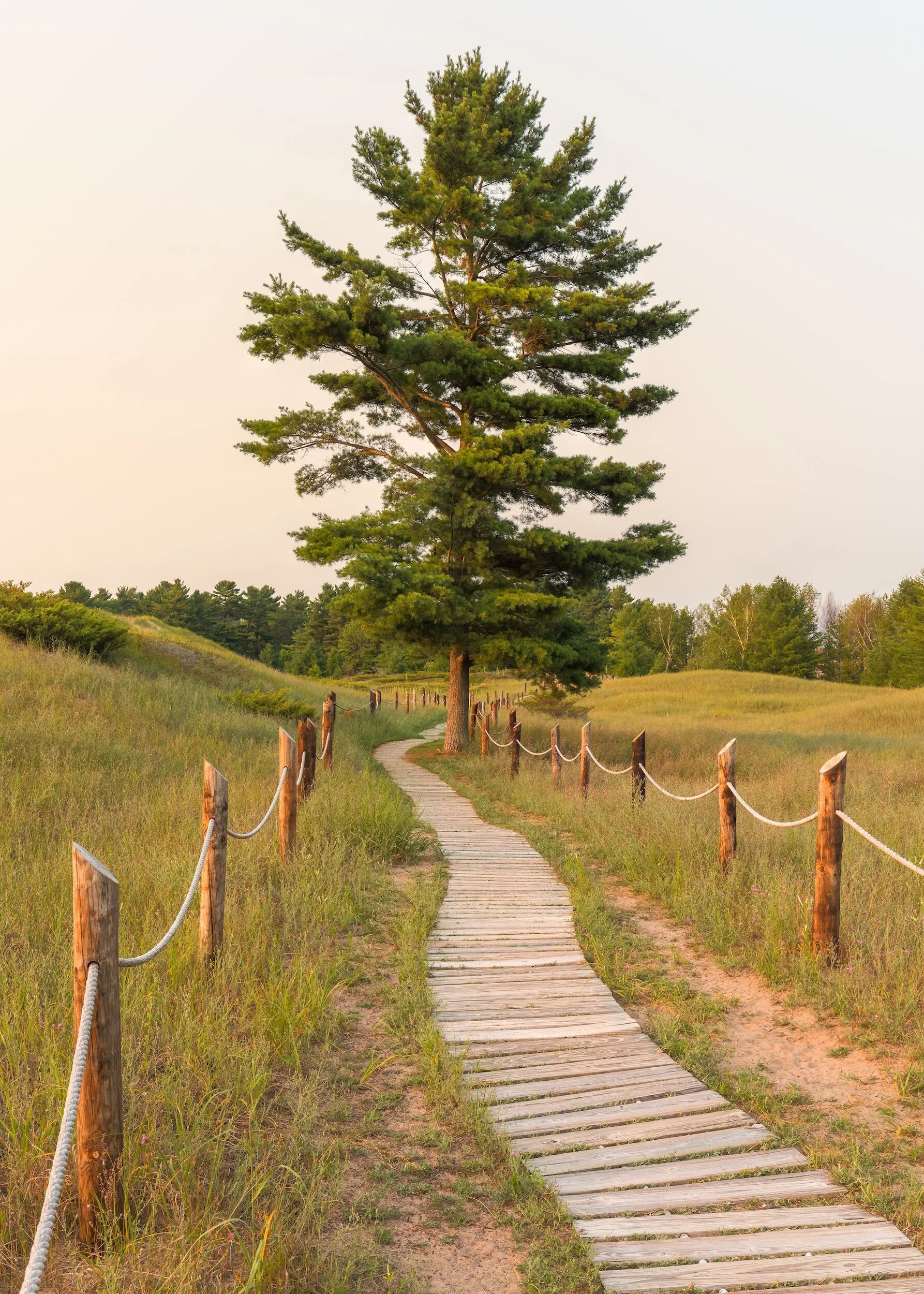 Episode 84 - 5 Day Relationship Reboot - Day 4: Begin Where You Are