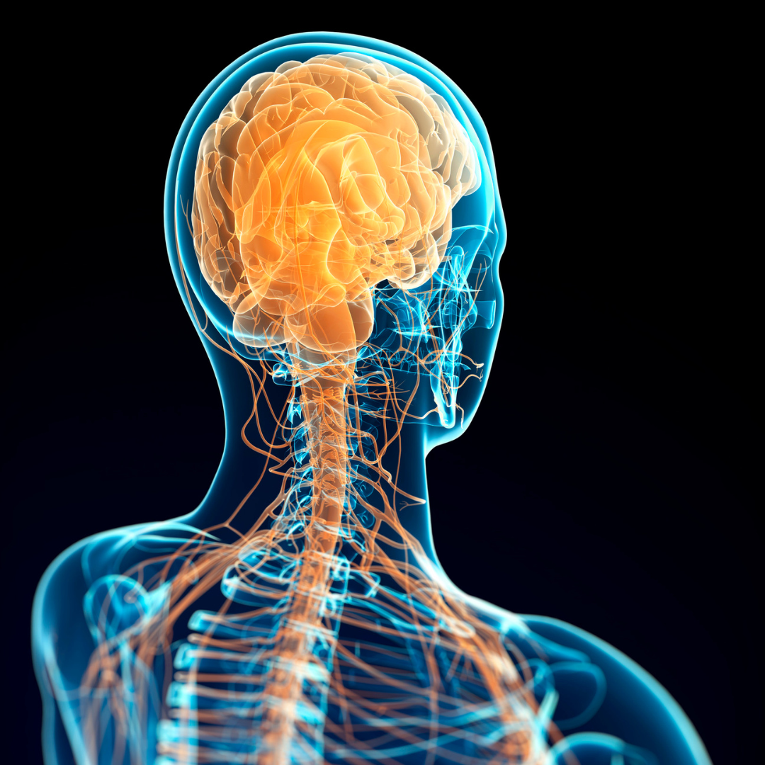 Episode 182 - Why You Keep Reacting the Way You Do