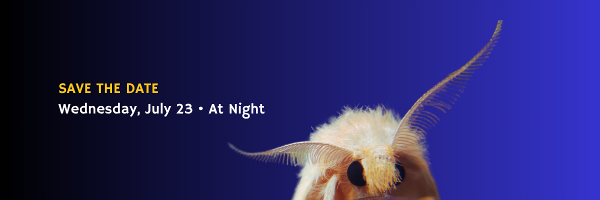 The 2025 Moth Ball