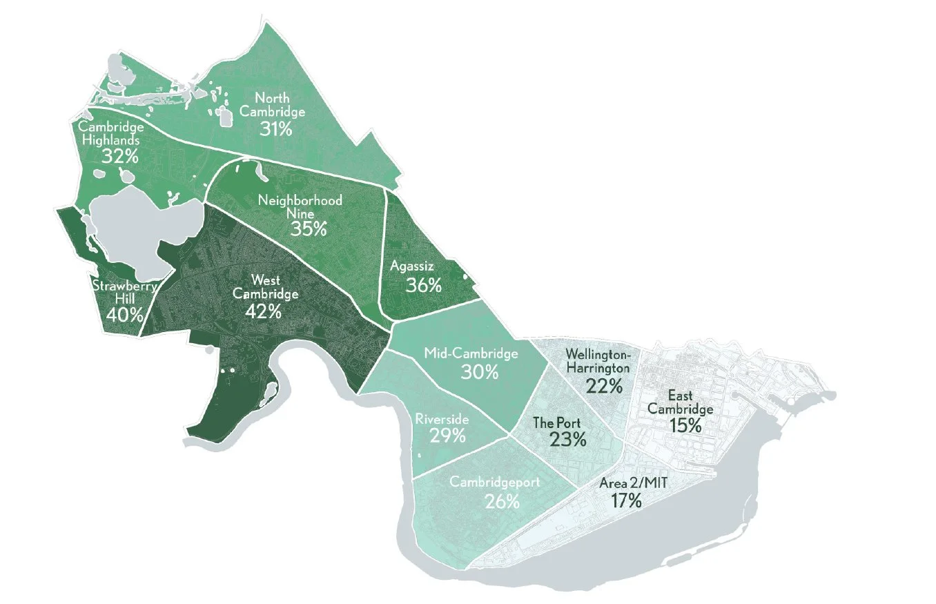Canopy coverage in Cambridge. Graphic courtesy of the Cambridge Department of Public Works.