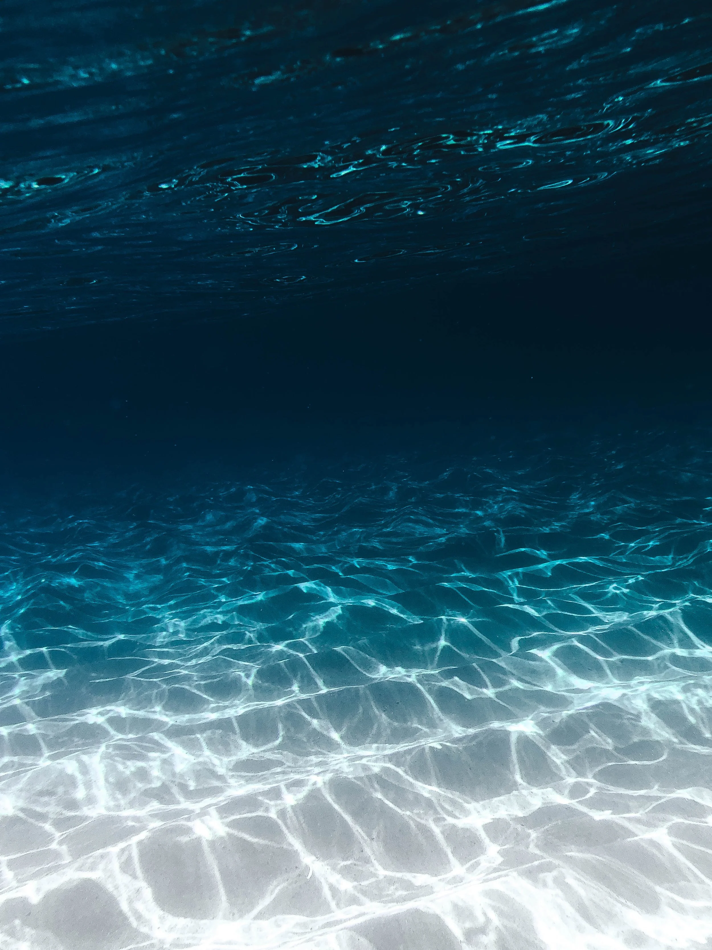The water