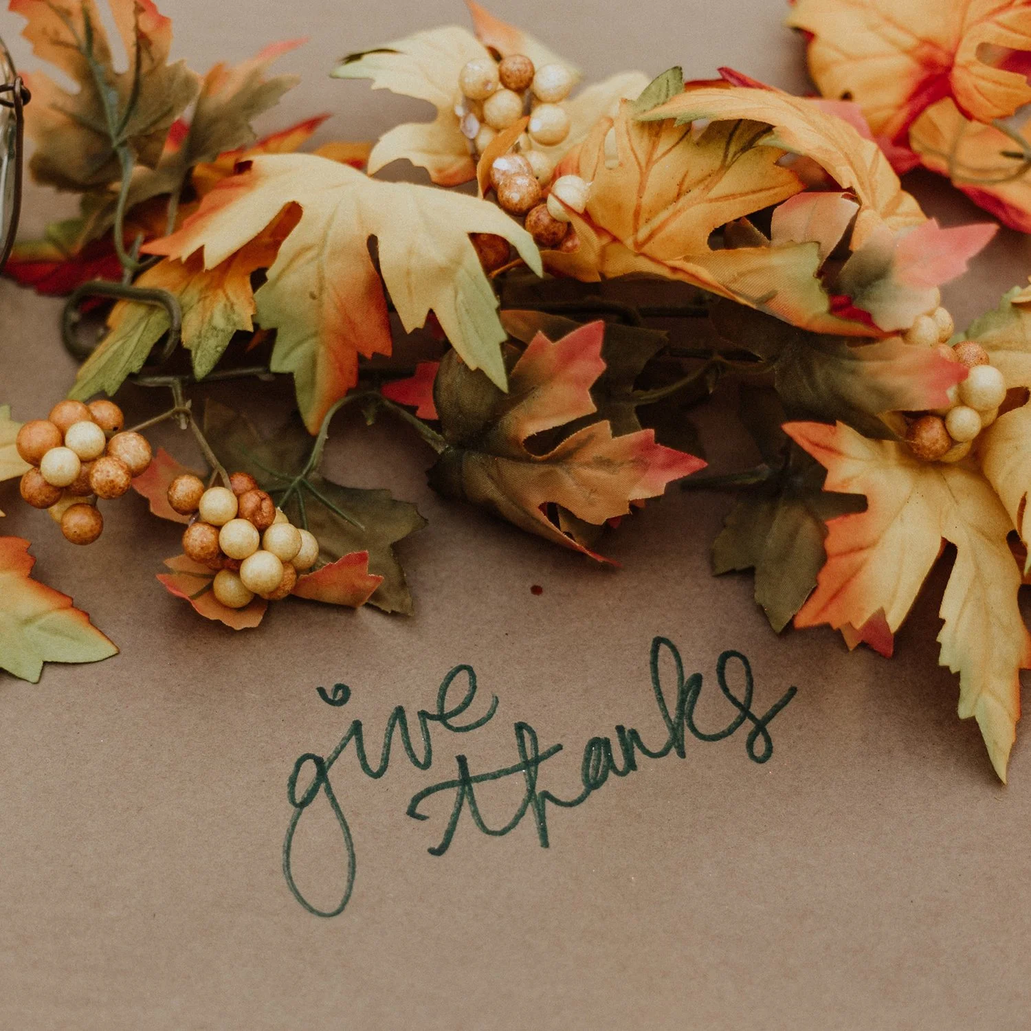 Giving Thanks + Giving Back