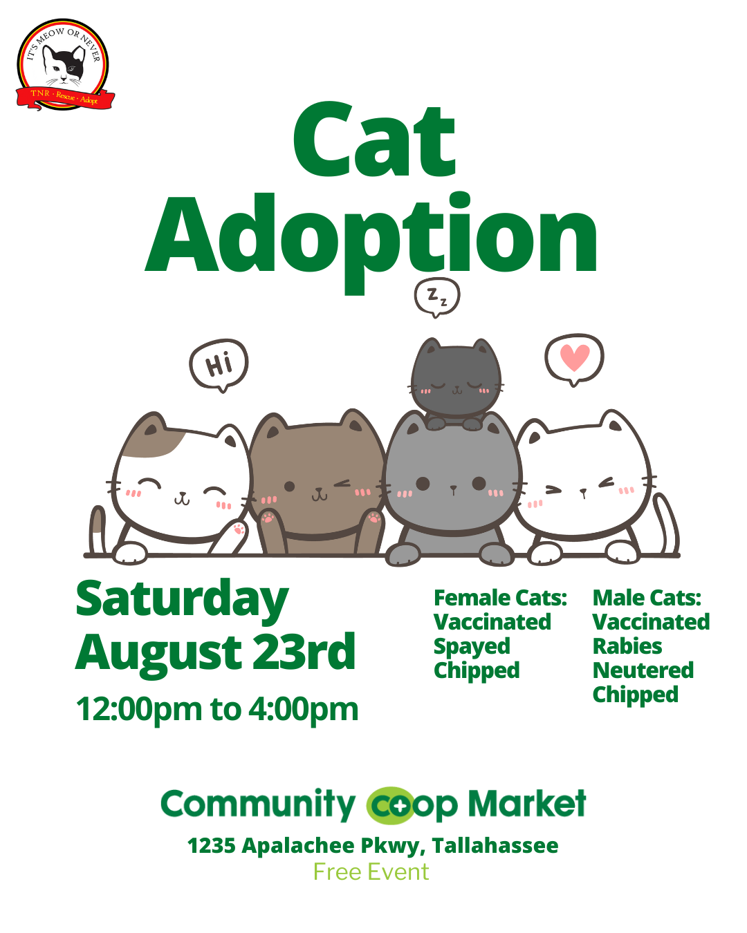 Cat Adoption