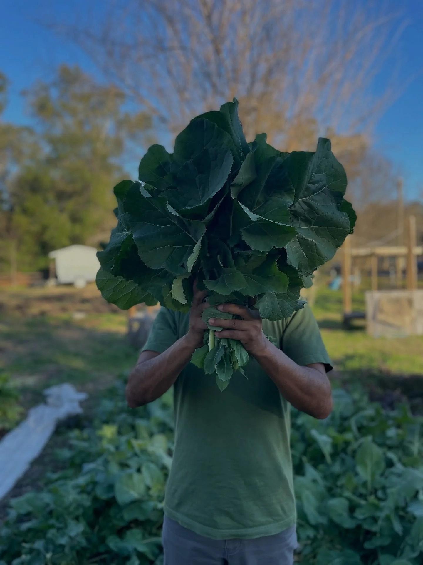 We had the opportunity to get hands on with @compostcommunity , a Tallahassee based composting and farming operation led by Sundiata and his son Shiloh, and it was truly inspiring to witness the care, science, and intention behind their work.

Compos