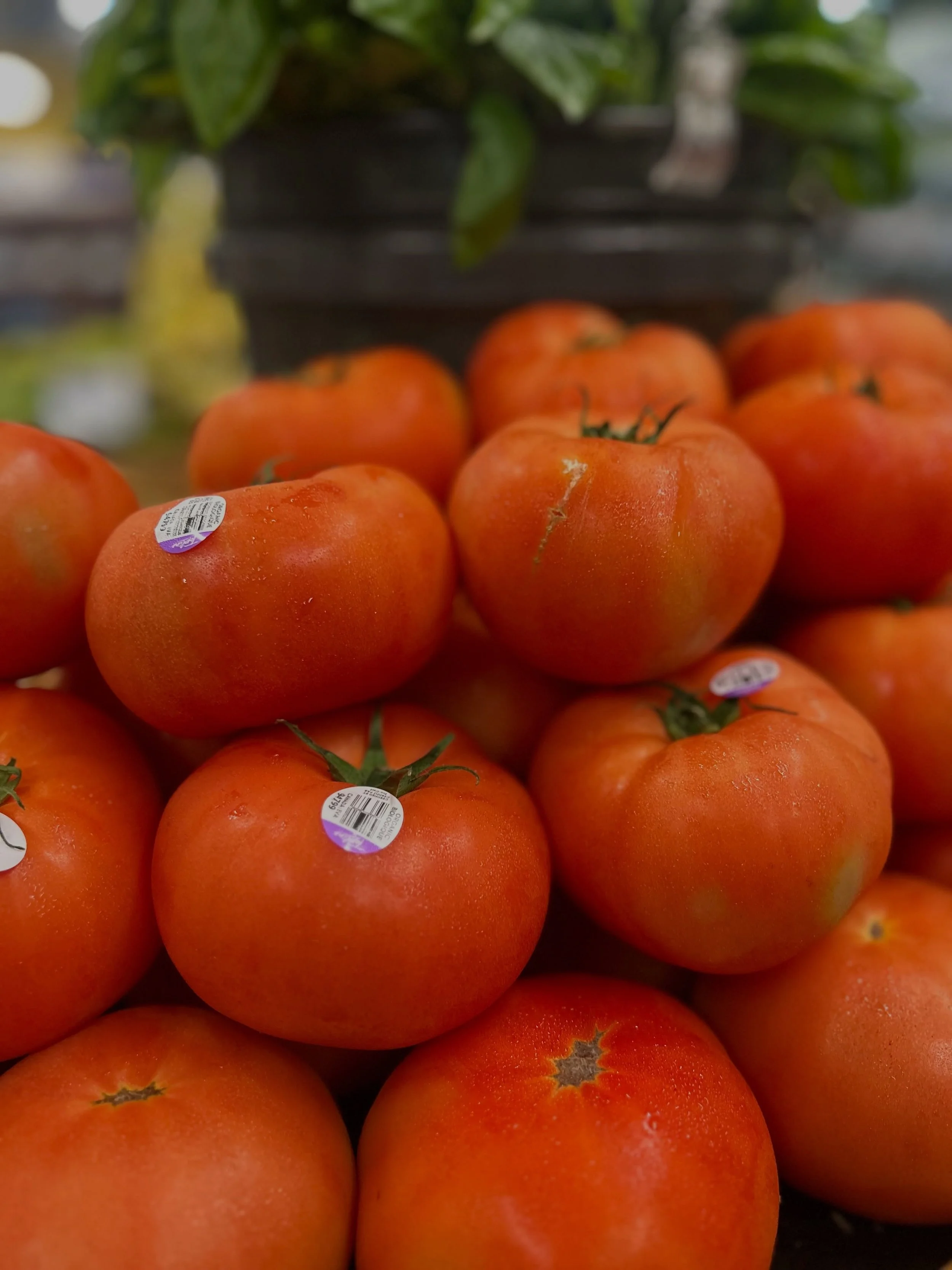 A special shoutout to Hope, our amazing Produce Department Manager!

From keeping the department beautifully stocked and organized to ensuring the freshest produce possible, Hope puts her heart into every display. Thanks to her hard work, nearly all 