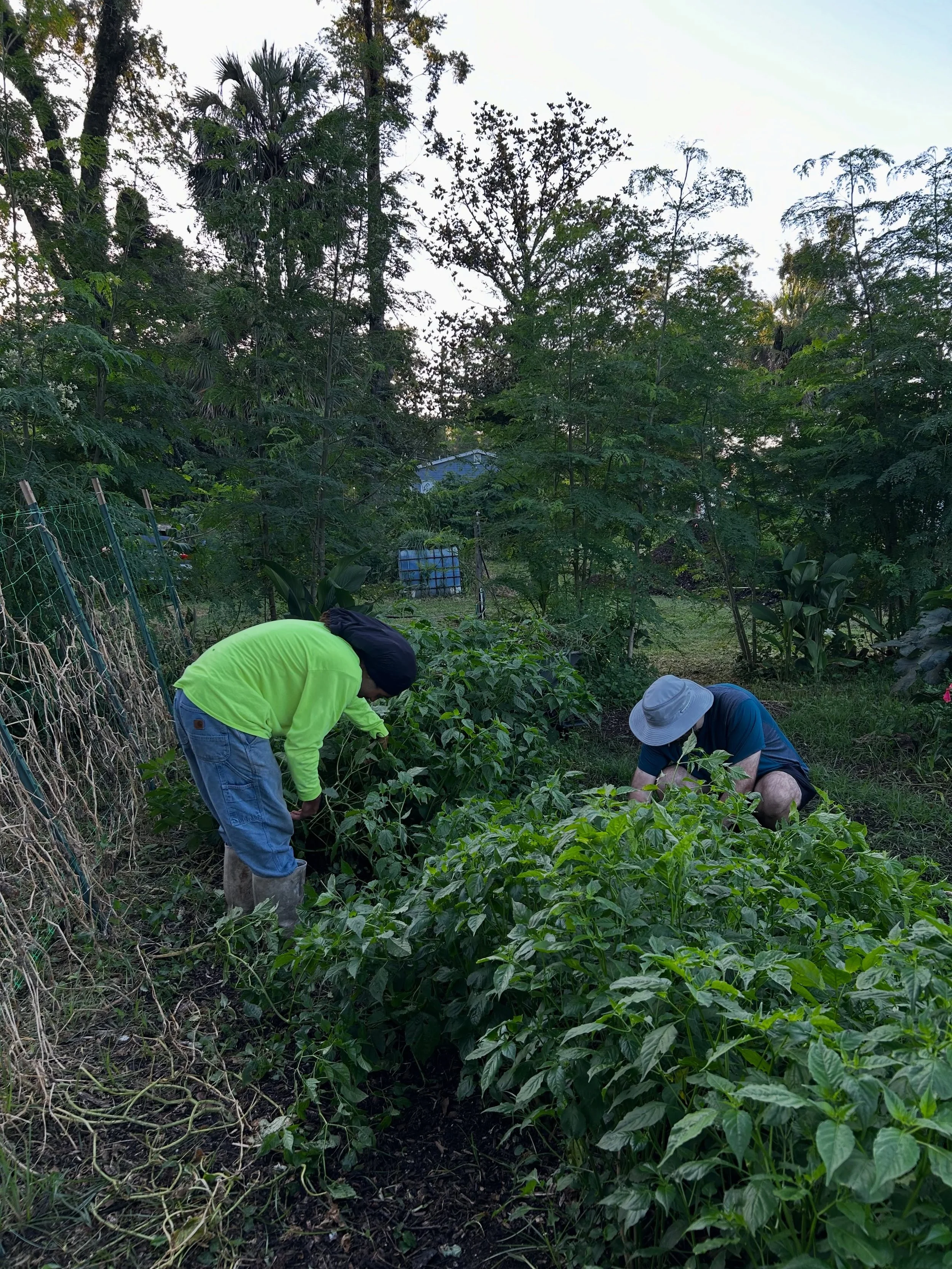 Today, we had the opportunity to do some outreach and lend a helping hand to @compostcommunity as they worked on clearing and preparing their garden beds. We had so much fun playing in the soil, pulling weeds, getting our hands dirty, and engaging in