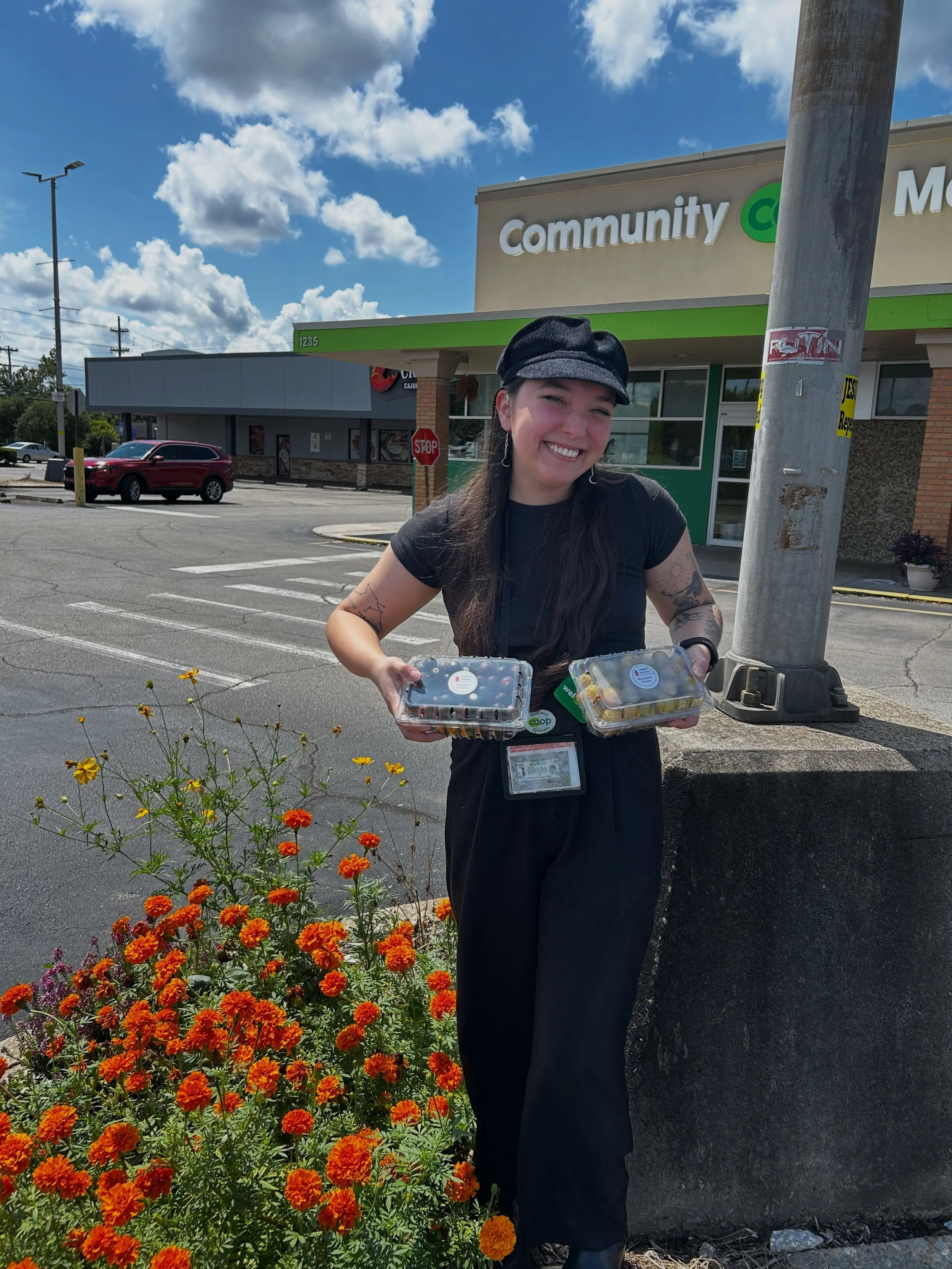 Local Muscadine Grapes from Ladybird Organics in Monticello, Florida have arrived at Community Co-op Market!

Known for their sweet, bold flavor and thick skins, muscadines are a true Southern favorite and a seasonal treat you won&rsquo;t want to mis