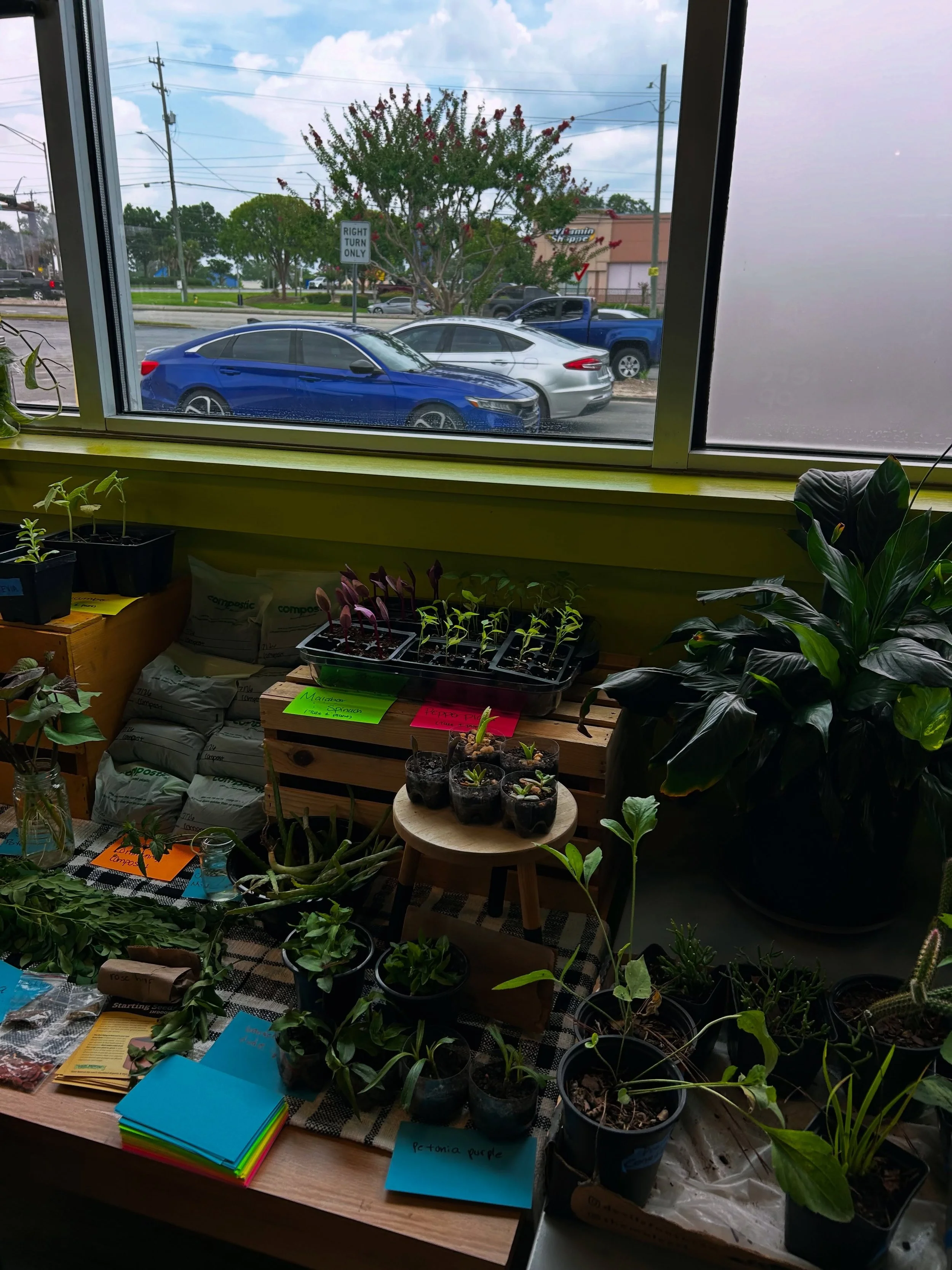 Thank you to everyone who joined us for our Plant Exchange!

What a wonderful day! It was a huge success, and it was so heartwarming to see so many familiar and new faces leave with beautiful plants and, more importantly, new connections.

One of the