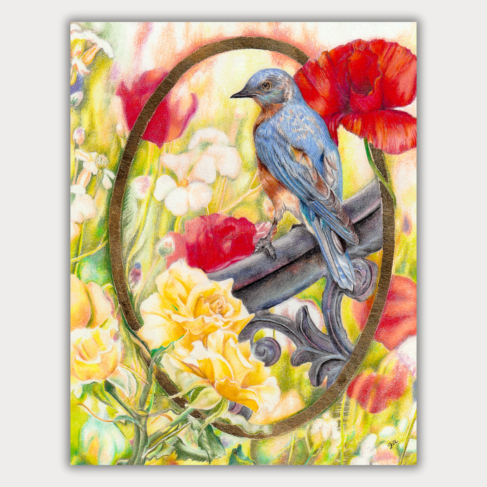 Eastern Bluebird & Poppies (Print)