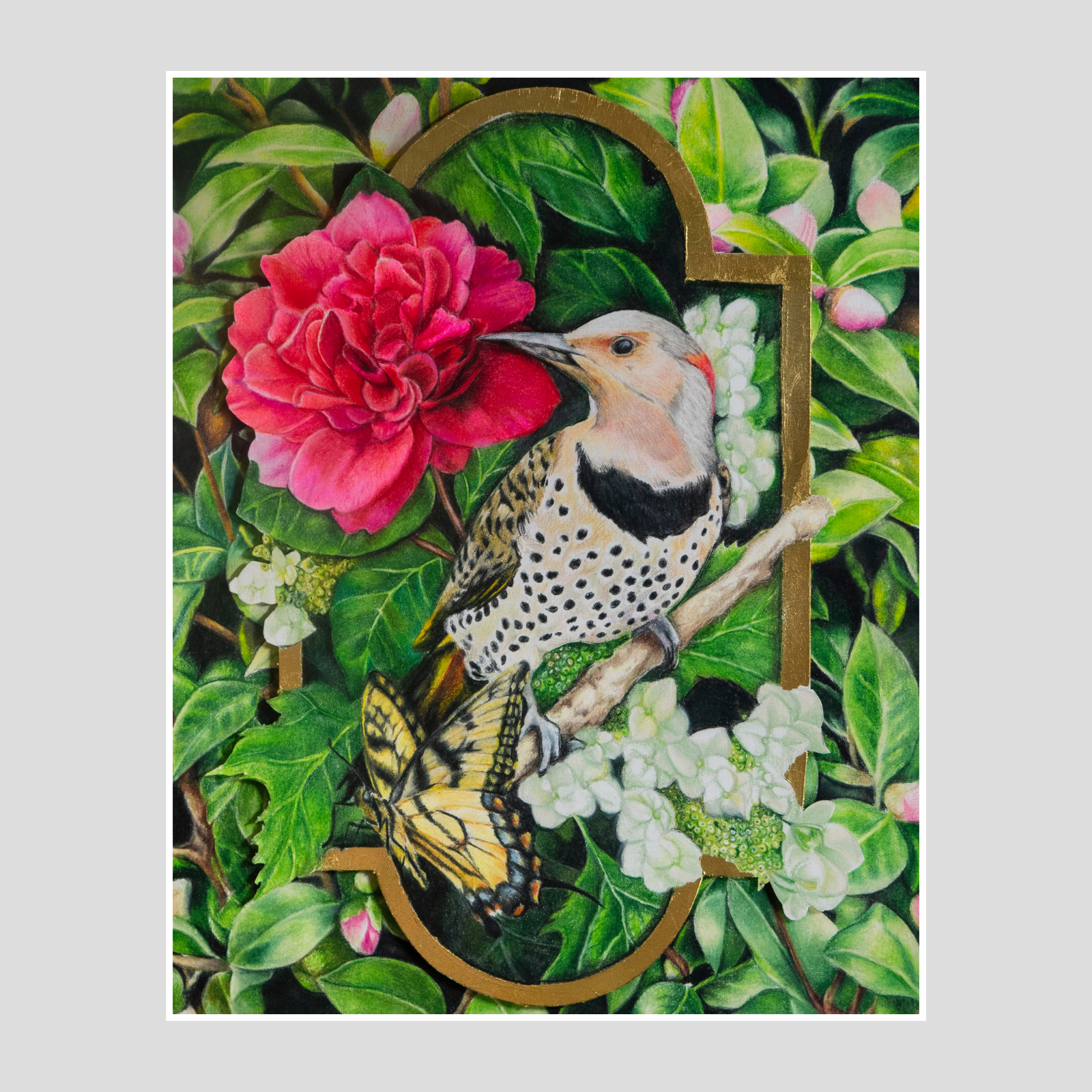 Northern Flicker & Camellia (Original)