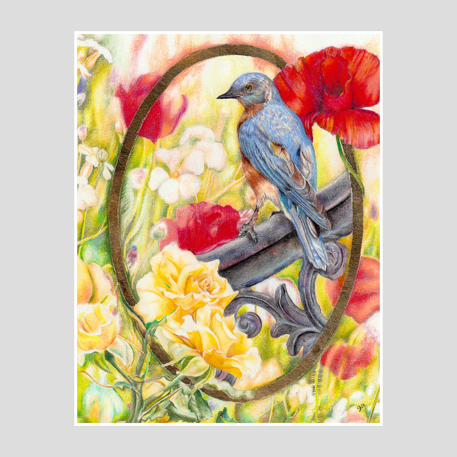 Eastern Bluebird & Poppies (Original)