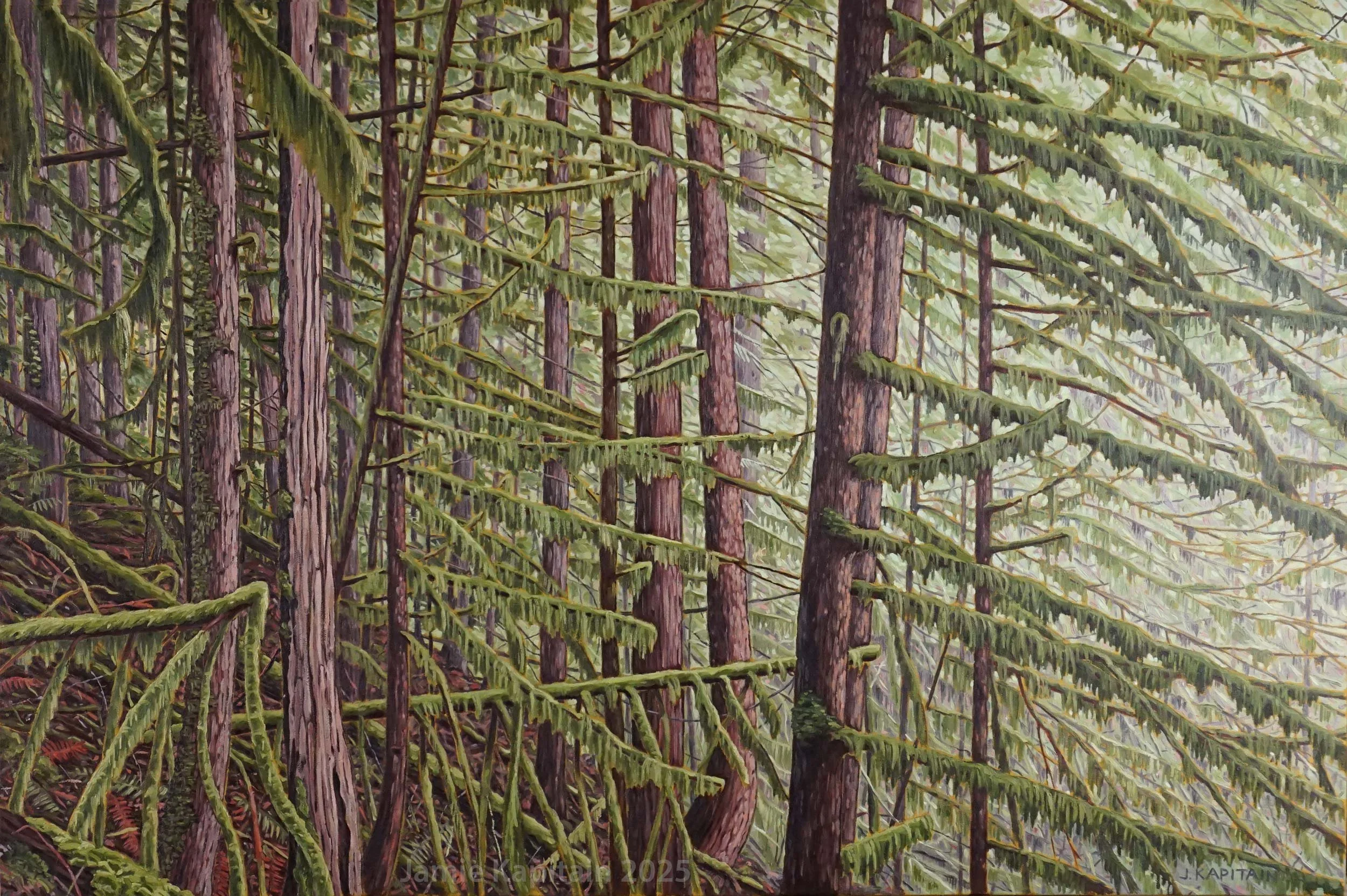 Near Ti-siya, 2025, oil on canvas, 24x36 inches. Available.