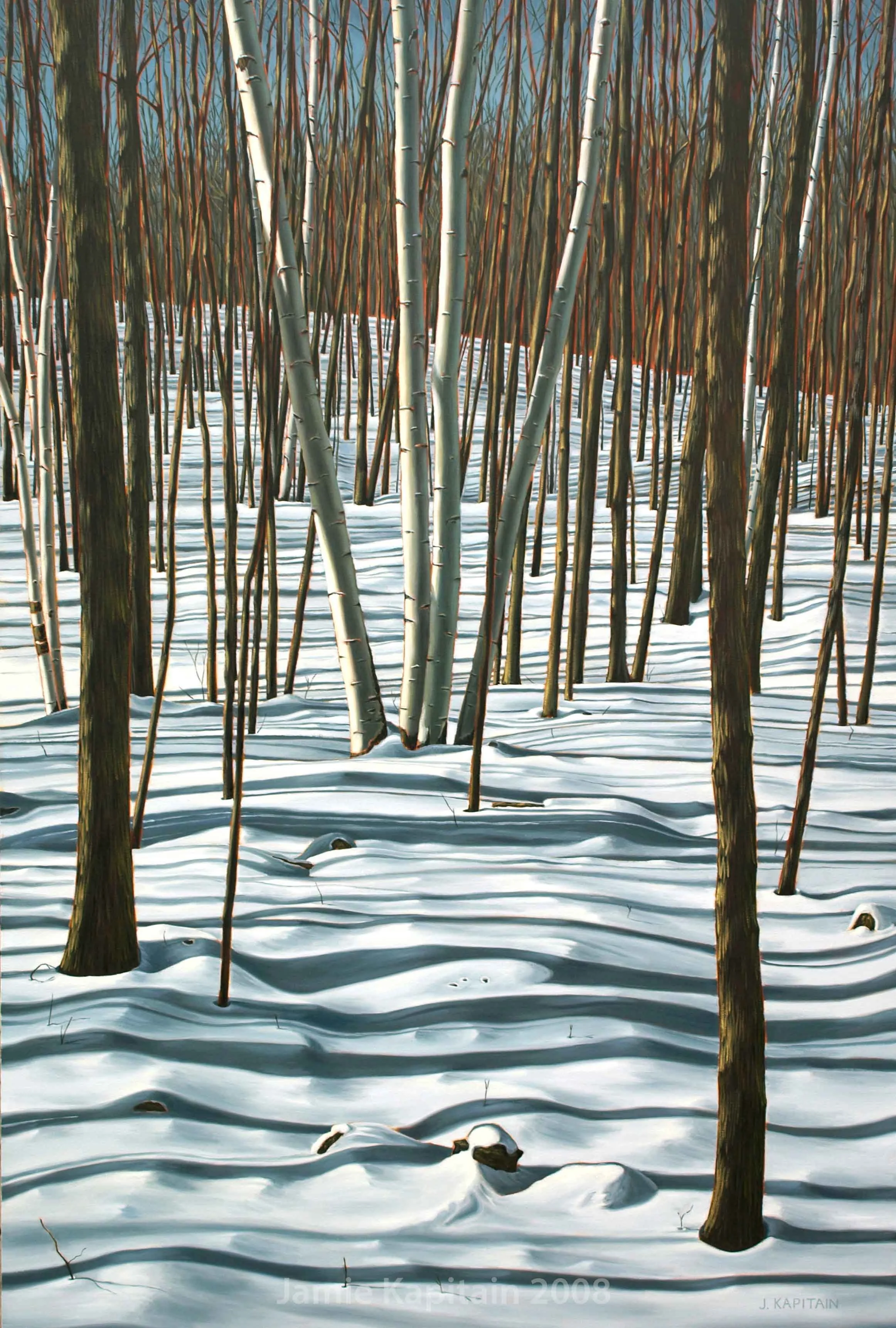 Winter Birch, Mount Nemo No.3, 2008, oil on canvas, 60x40 inches.