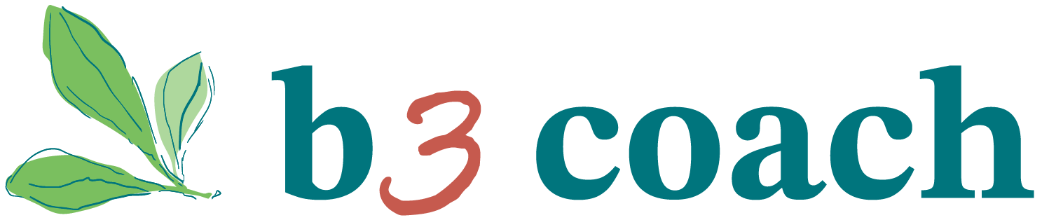 B3 Coach
