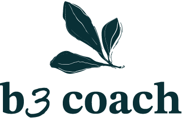 B3 Coach