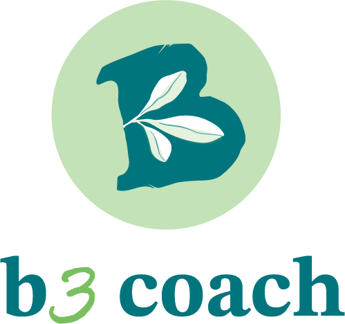 B3 Coach