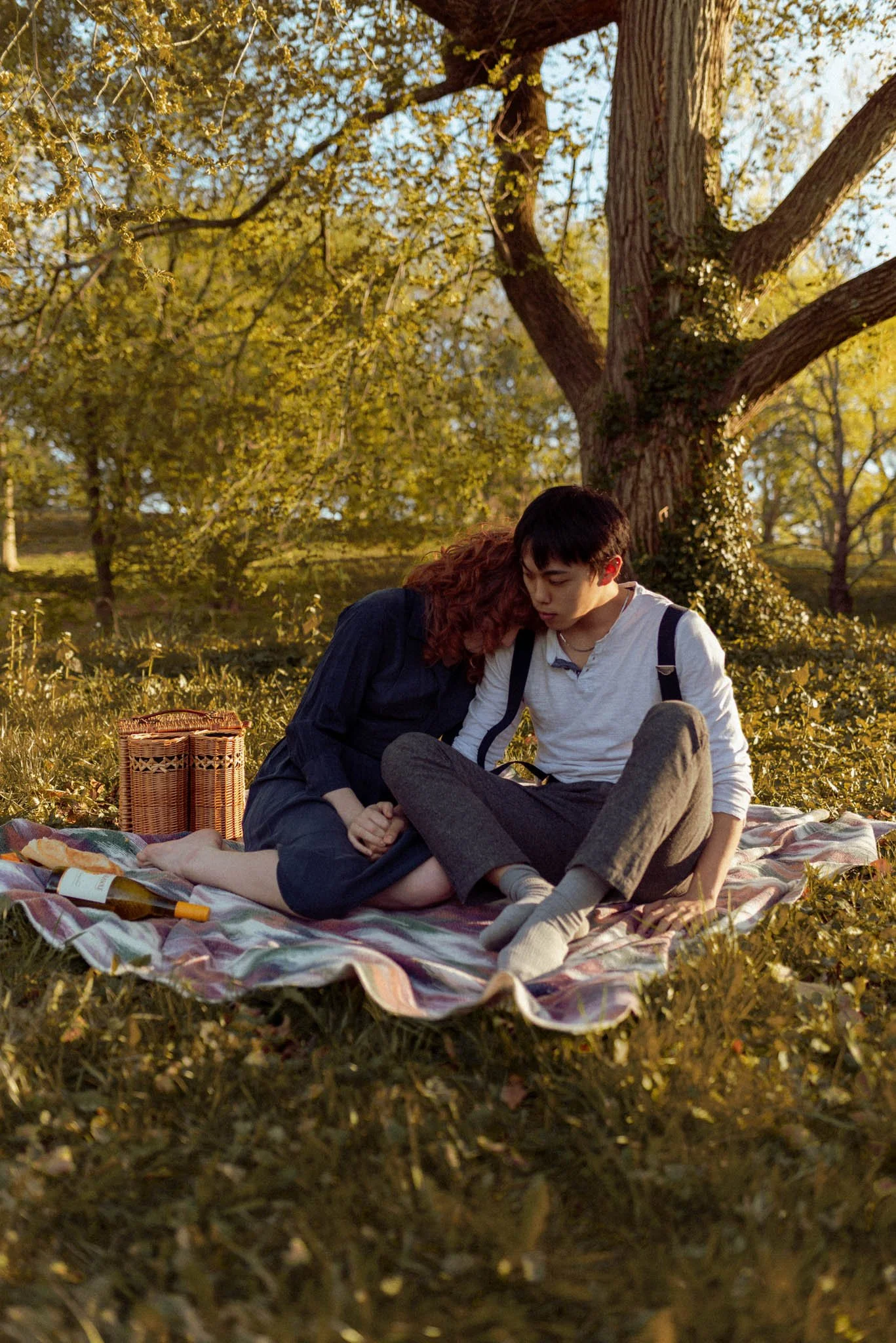 Boston_Arboretum_Picnic-Couples-Photoshoot-Engagement-session-16.JPG