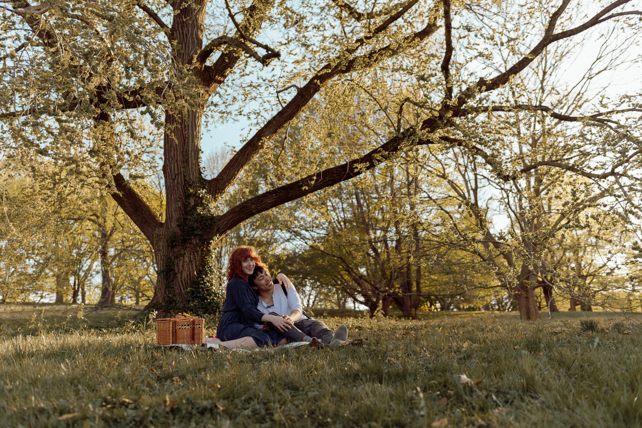 Boston_Arboretum_Picnic-Couples-Photoshoot-Engagement-session-20.JPG