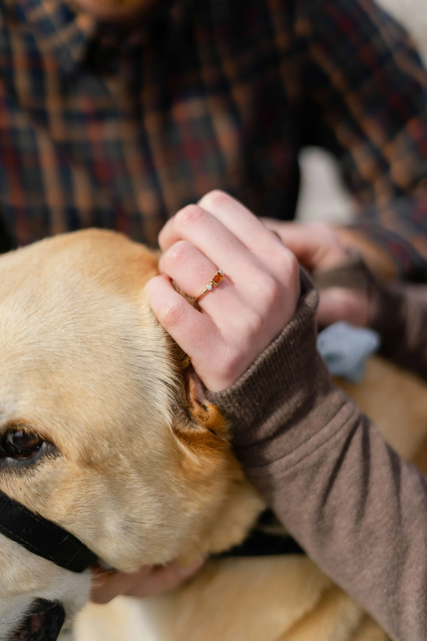 suprise-wedding-proposal-engagement-photography-bradburymt-freeport-maine-68.JPG