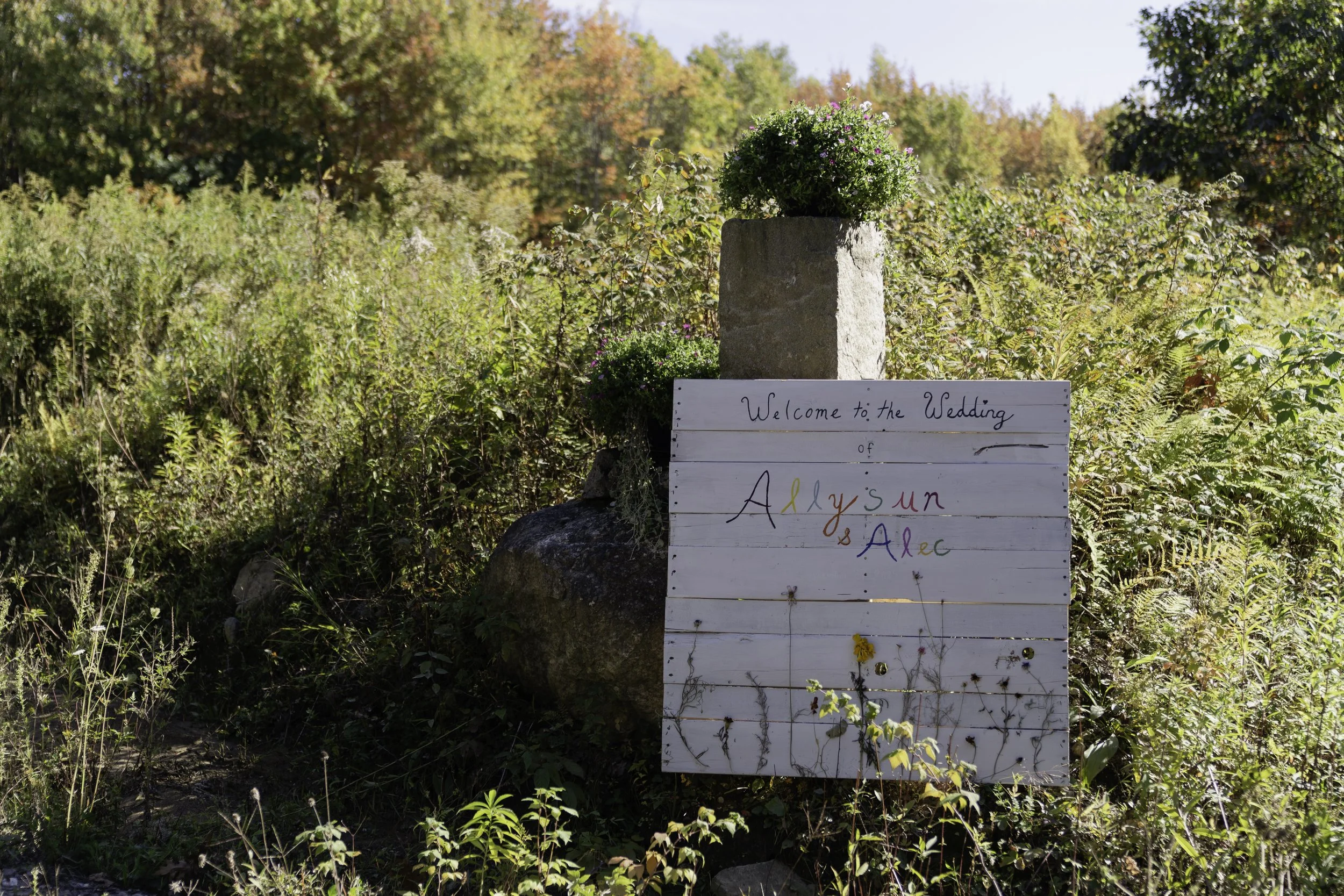 Al_x_Al_Wedding_Maine_September_Foxspit-2.jpg