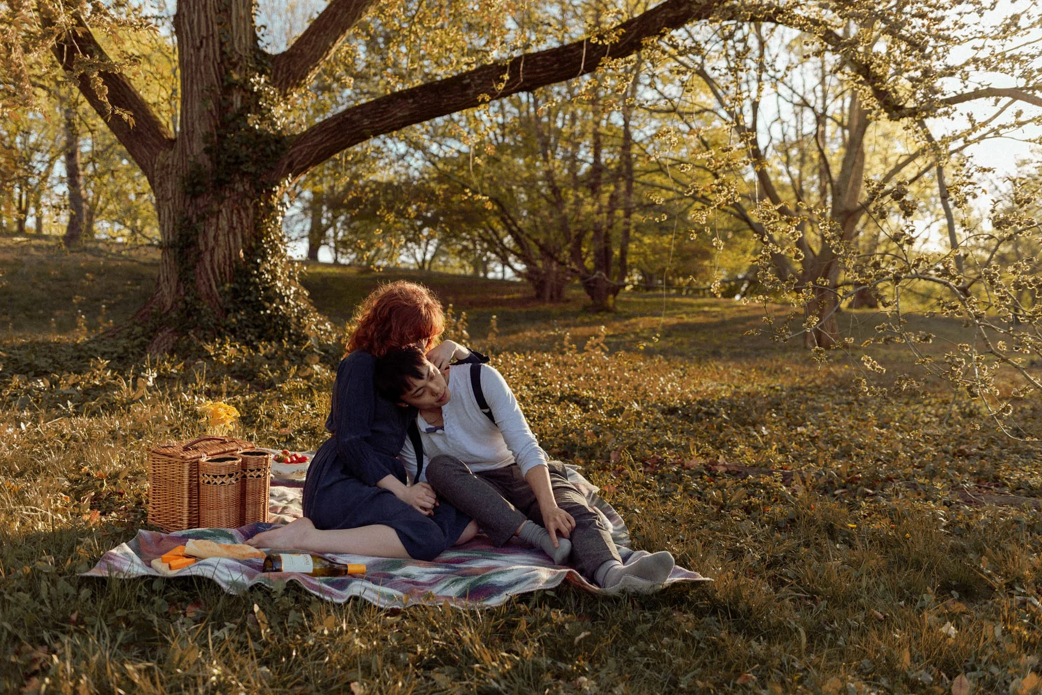 Boston_Arboretum_Picnic-Couples-Photoshoot-Engagement-session-18.JPG