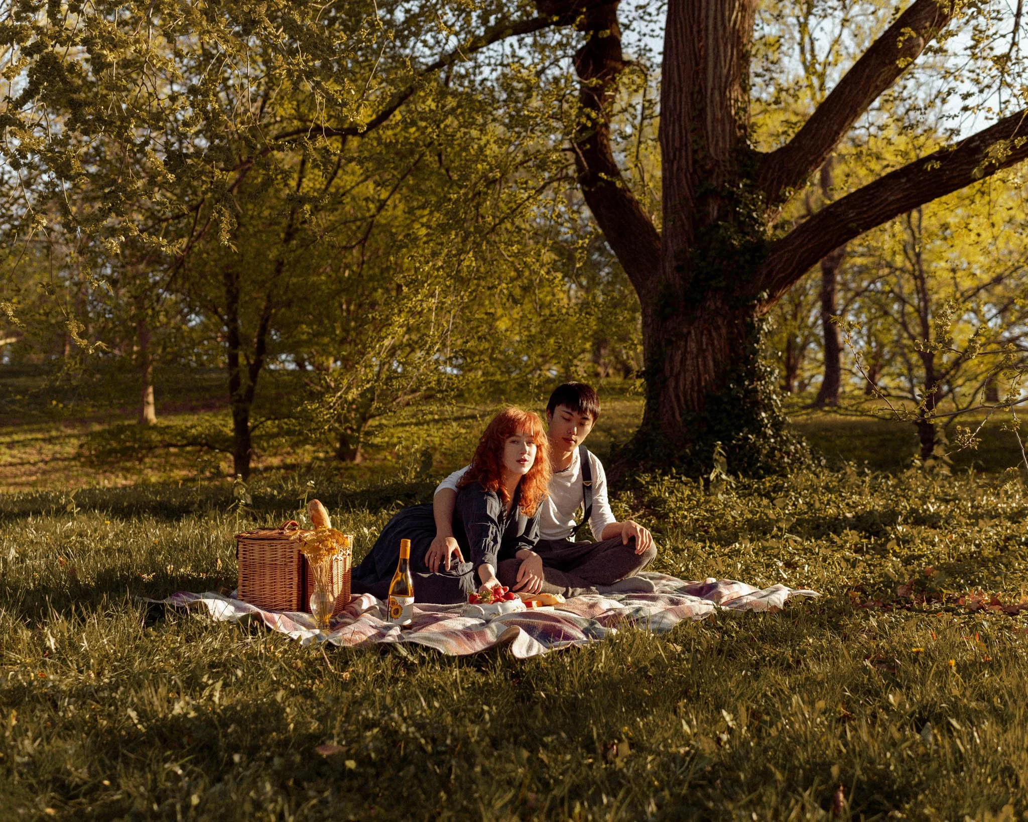 Boston_Arboretum_Picnic-Couples-Photoshoot-Engagement-session-3.JPG