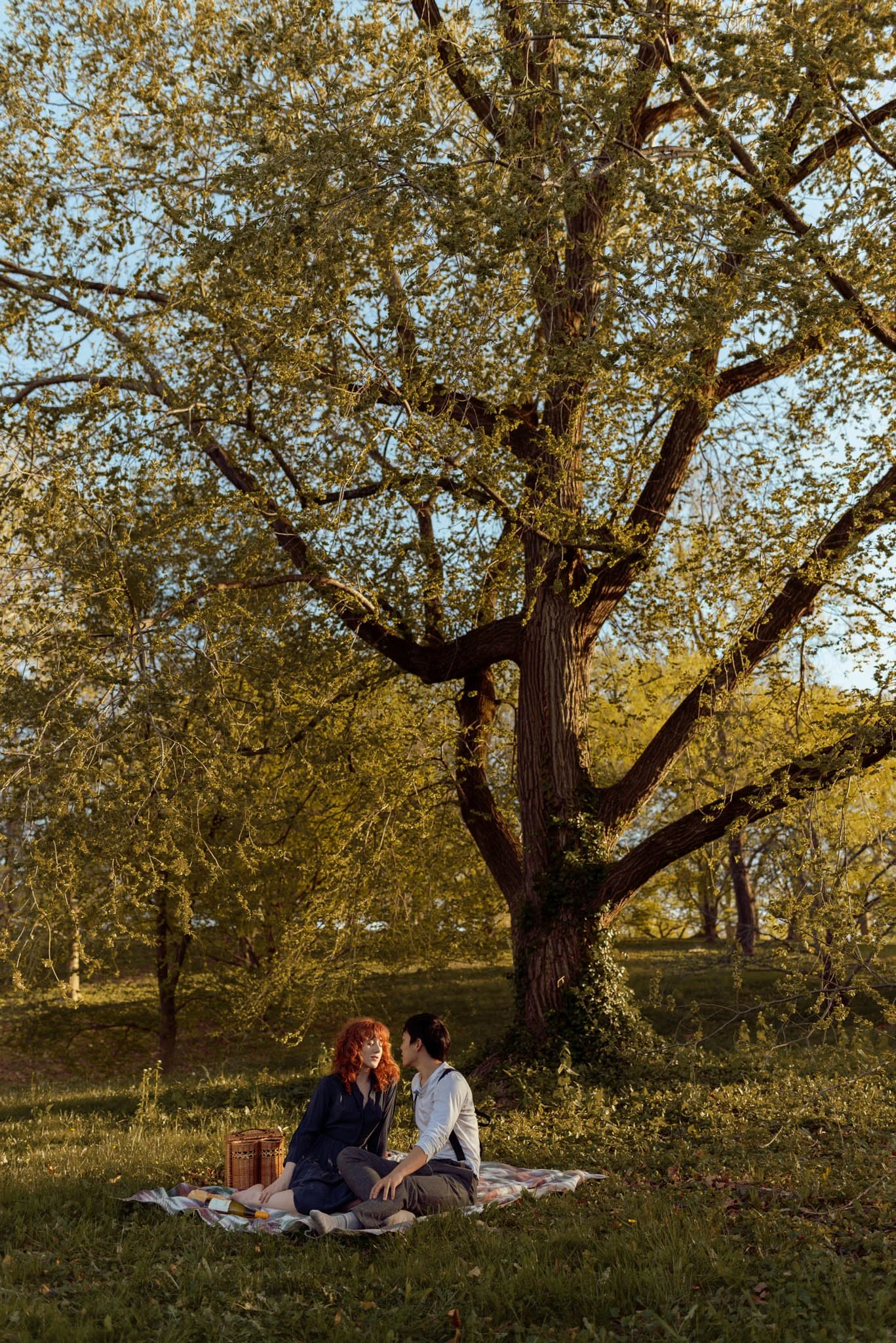 Boston_Arboretum_Picnic-Couples-Photoshoot-Engagement-session-21.JPG