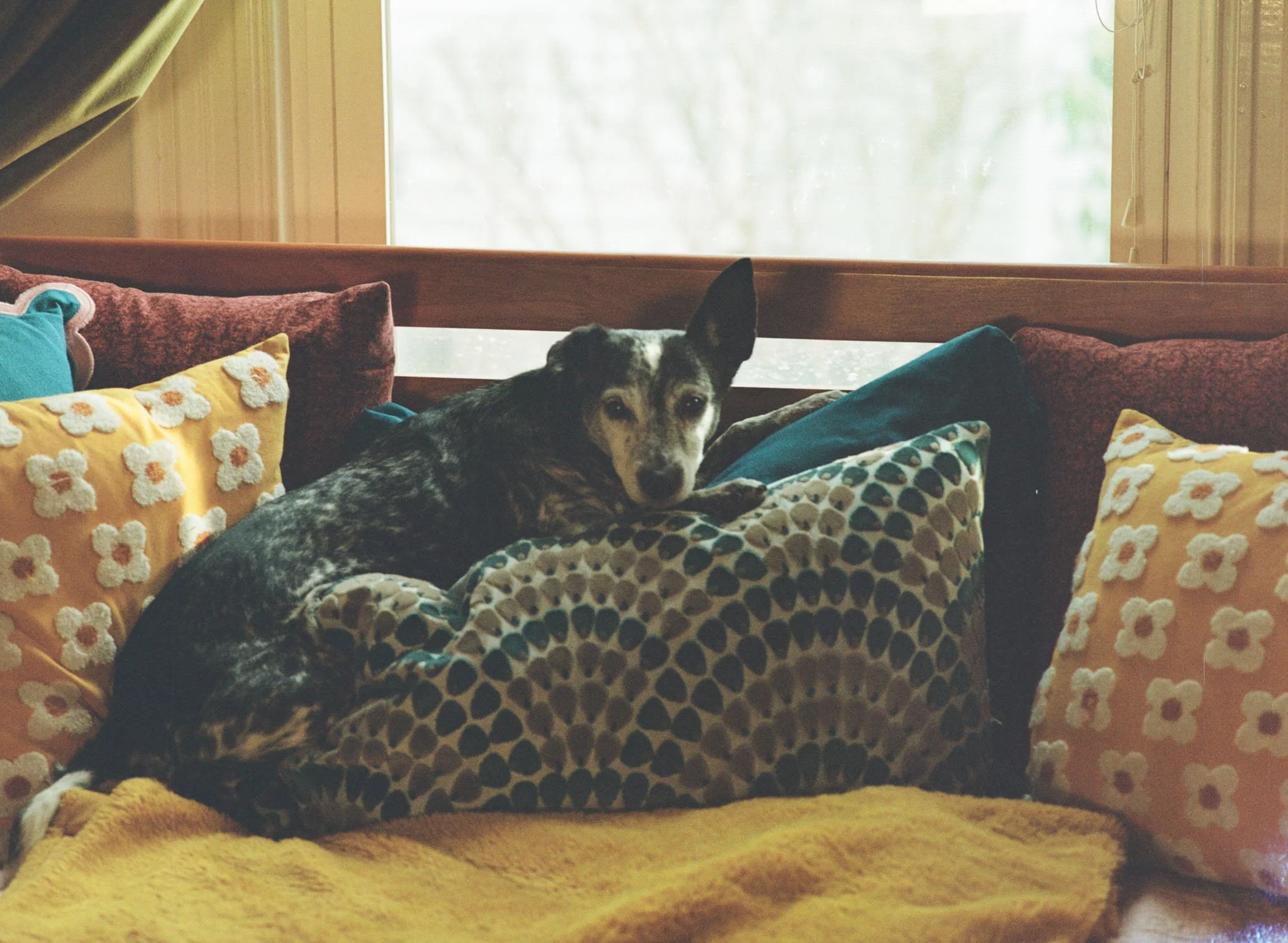 At-Home_engagement-photography-session-portland-maine-portraits-33.JPG