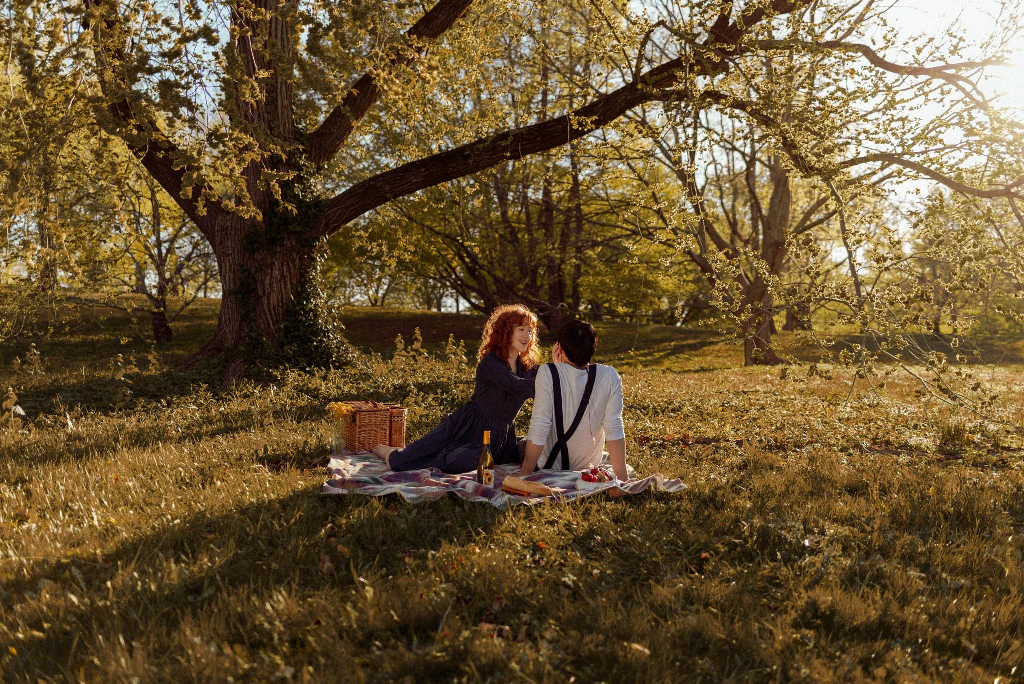 Boston_Arboretum_Picnic-Couples-Photoshoot-Engagement-session-11.JPG