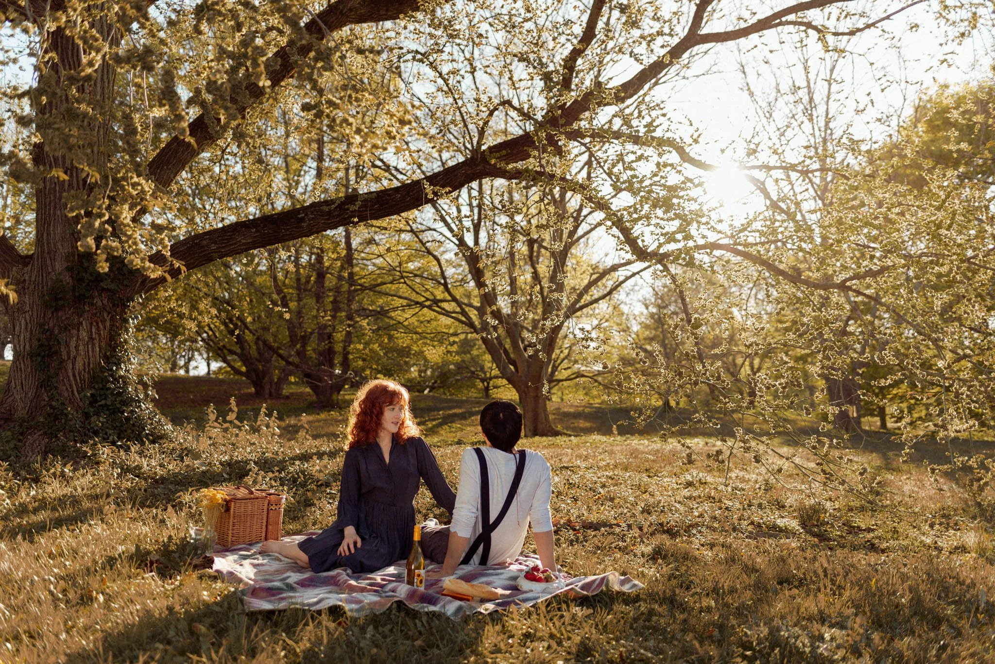 Boston_Arboretum_Picnic-Couples-Photoshoot-Engagement-session-10.JPG