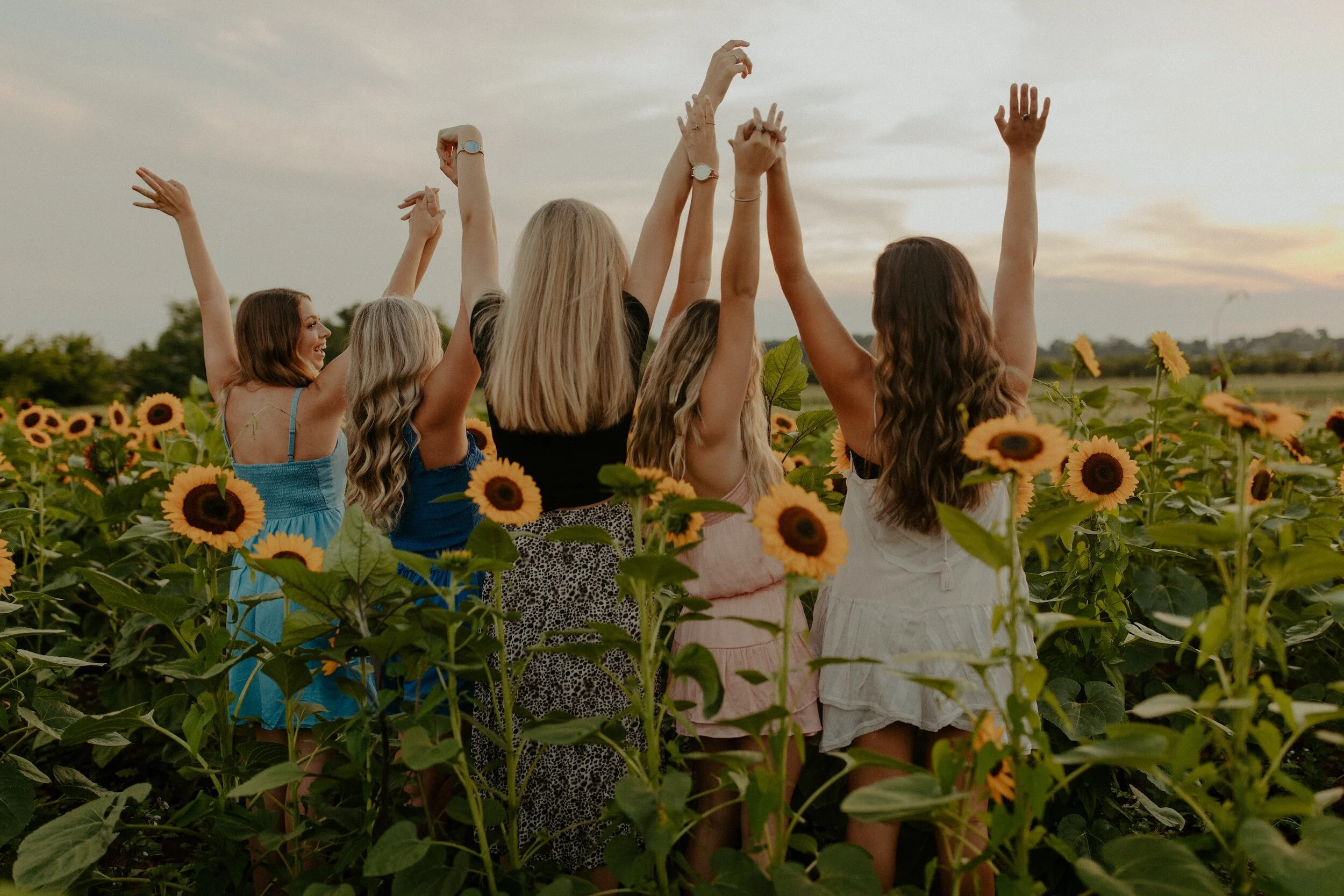 Sunflowers Wrap Around Drink Pocket in 2023