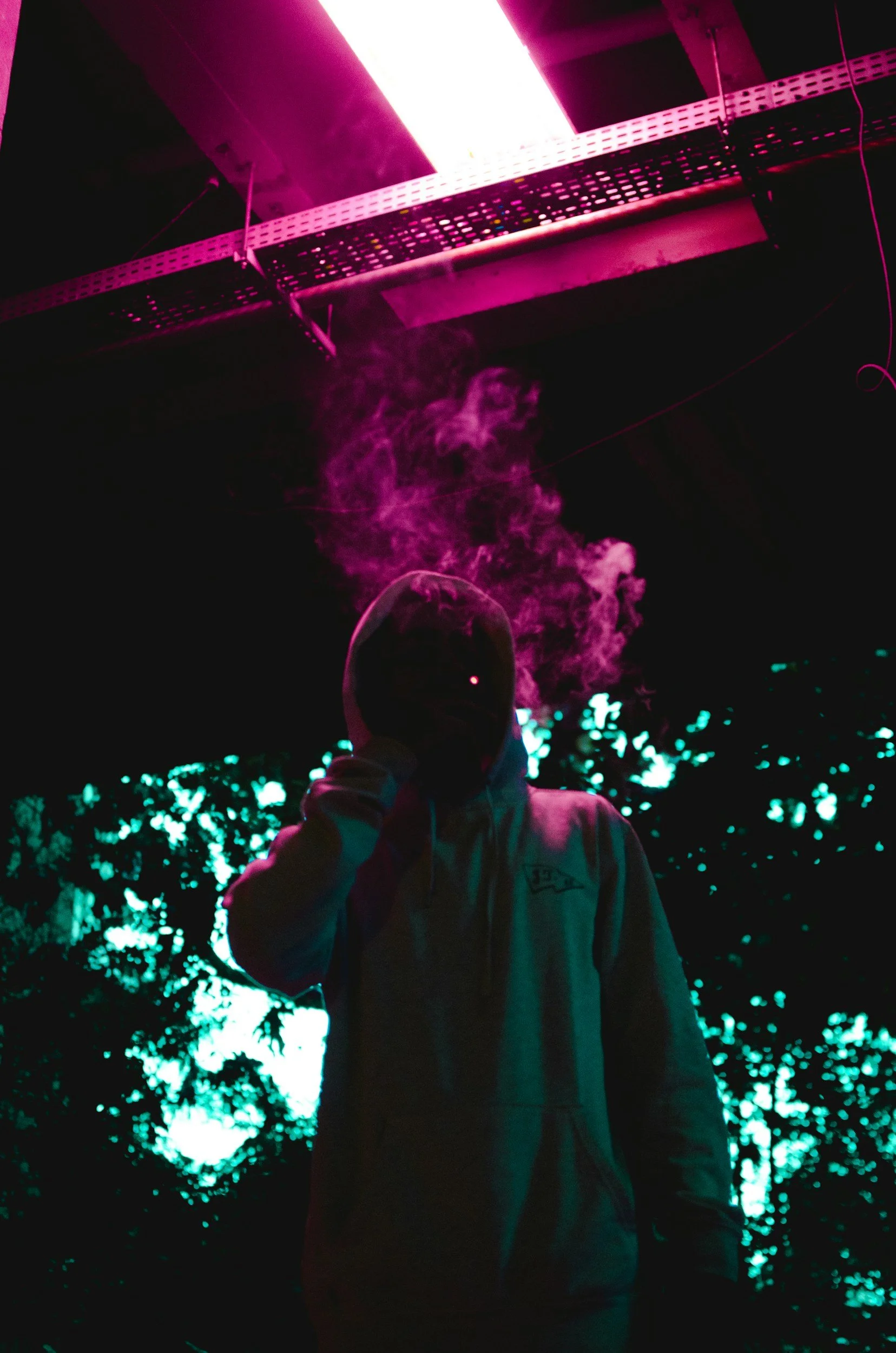 Vibe Check Wedding Cash Giveaway – Win $15,000