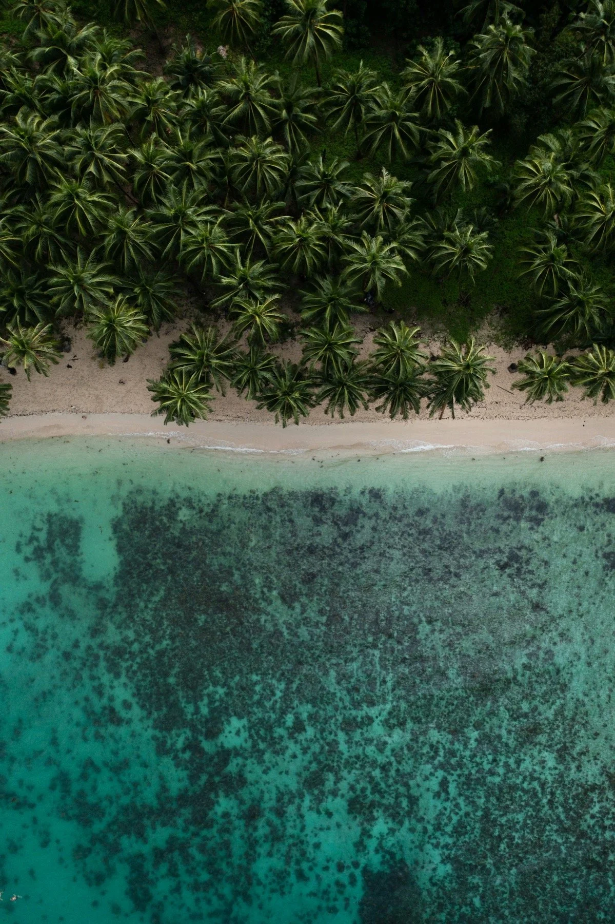 Win $25,000 in the Cayman Jack Escape-to-Paradise Sweepstakes