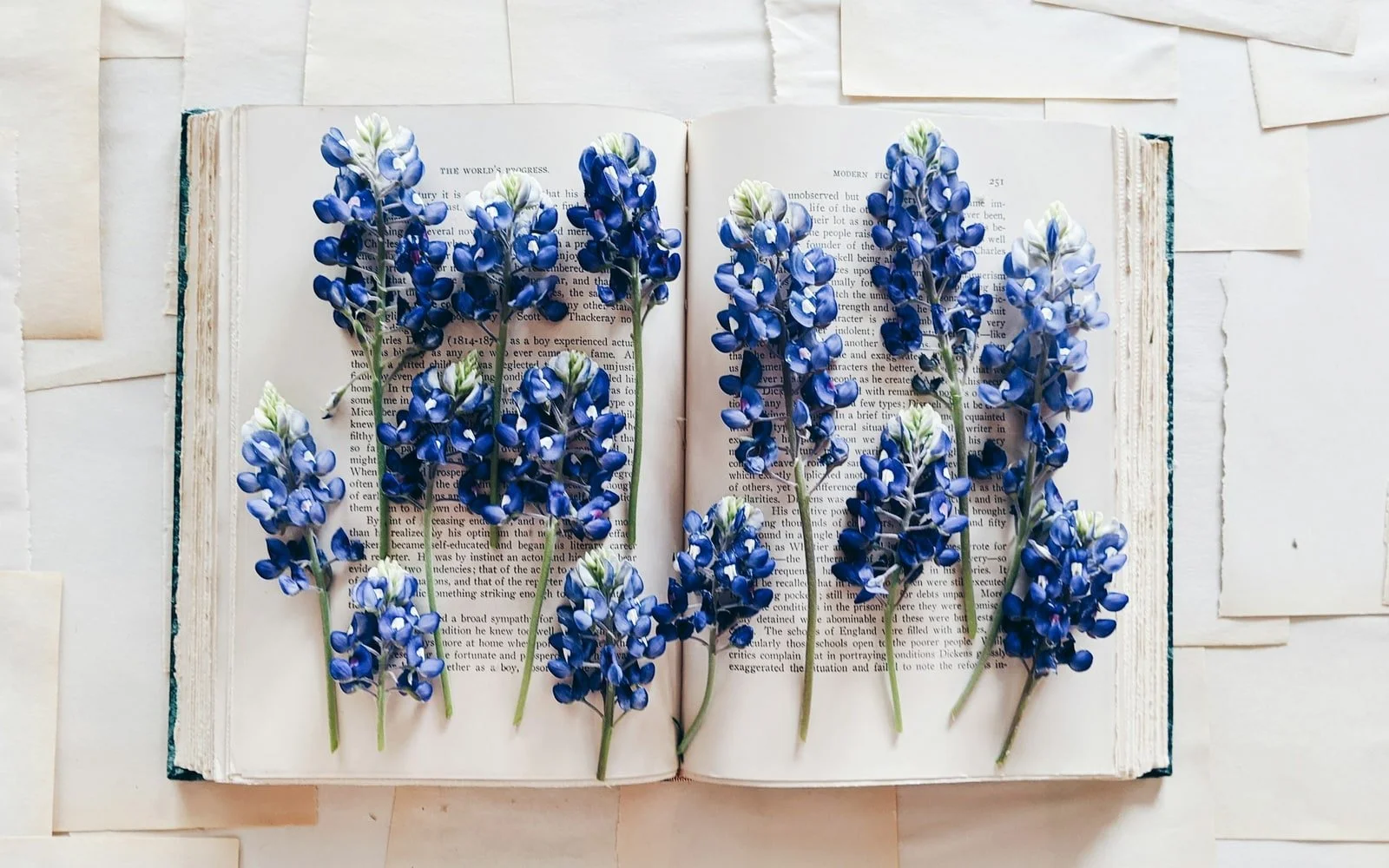 Win a Practical Magic Collector Prize Pack