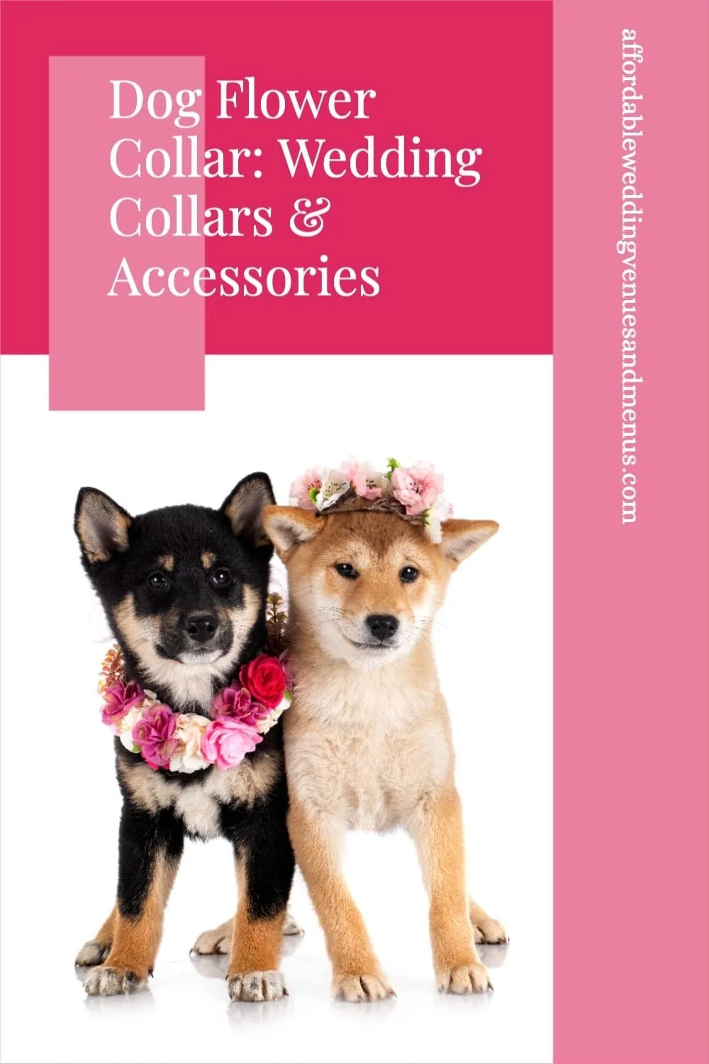 Pin on Doggy Accessories