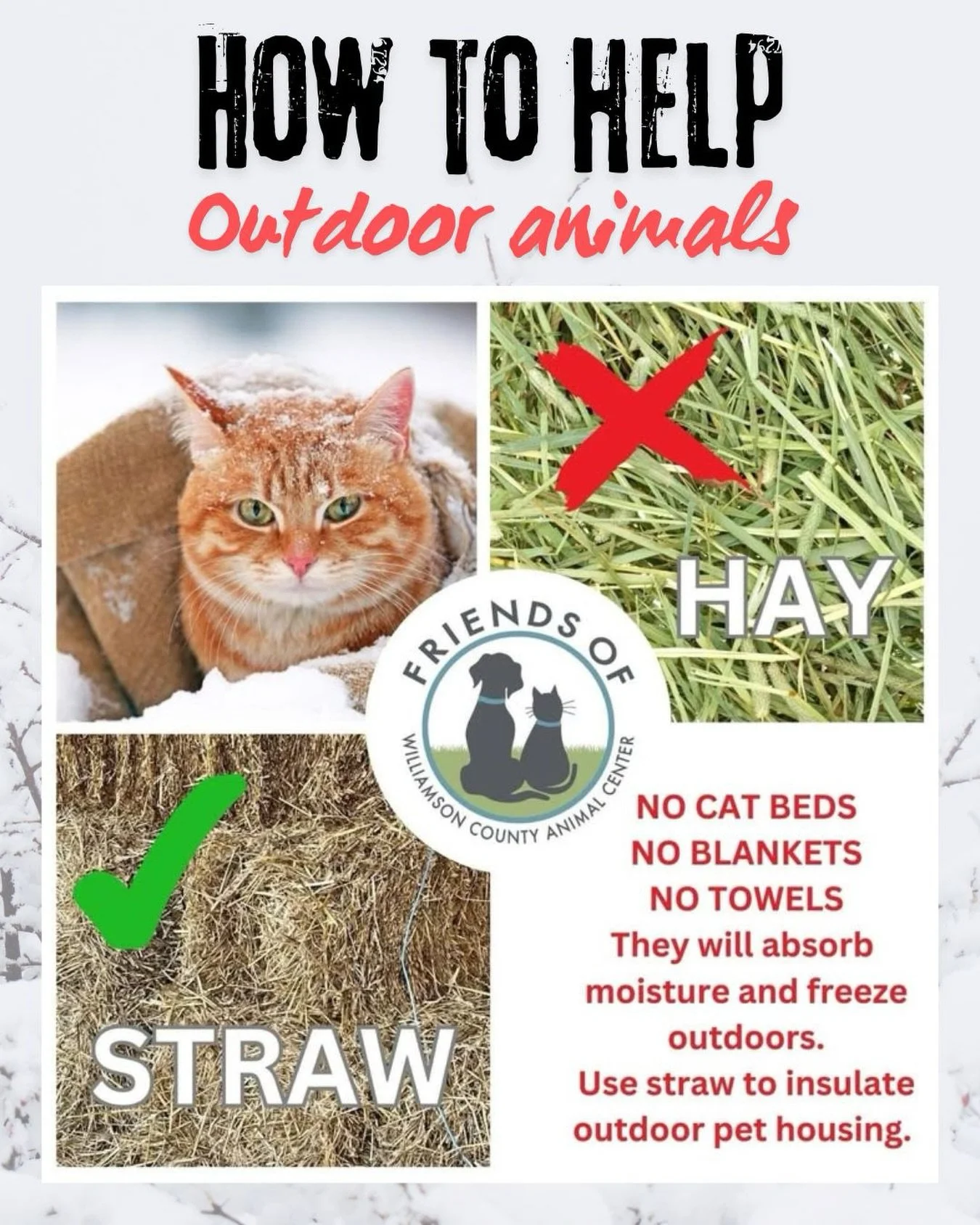 With snow in the forecast, let&rsquo;s make sure our furry friends stay safe and warm.

For those caring for feral cats or other outdoor animals that can&rsquo;t come inside, here&rsquo;s a quick tip: Use straw, not hay, blankets, or towels in their 