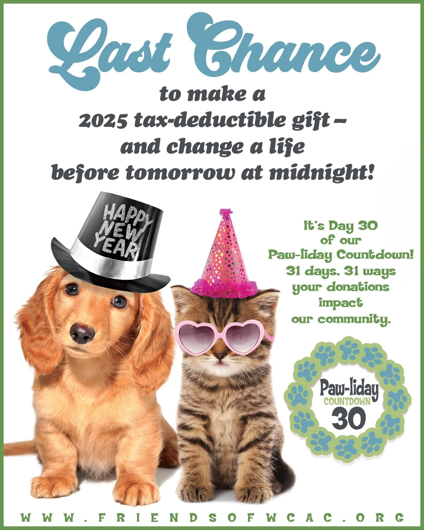 Day 30 of 31 Days &bull; 31 Ways your donations make a difference!

As the year winds down, this is your last chance to make a 2025 tax-deductible gift &mdash; and change a life before tomorrow at midnight.
Every dollar you give helps our shelter pet