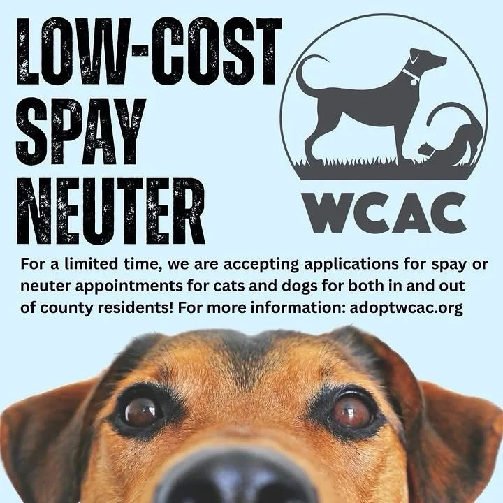 It&rsquo;s a beautiful day&hellip; and your unaltered pet agrees&mdash;it&rsquo;s peak &ldquo;romance season.&rdquo;
While you&rsquo;re enjoying the sunshine, they&rsquo;re busy plotting their next great escape in search of love (no long-term plans, 