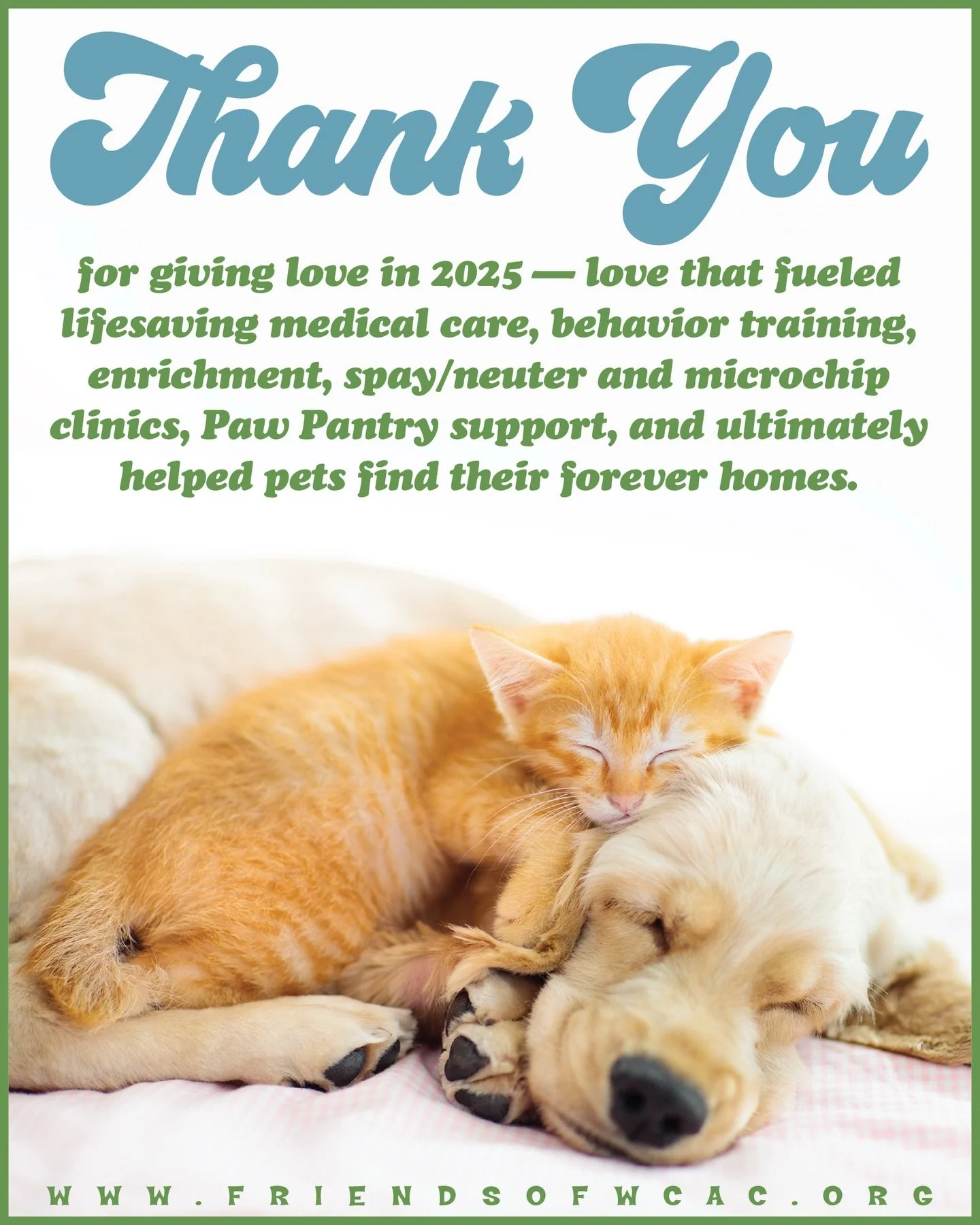 We&rsquo;re stepping into the new year with full hearts and wagging tails. 🐾
Thanks to your incredible support, we raised over $131,000 in our end-of-year giving campaign&mdash;and every dollar is already making a difference.

To everyone who donate