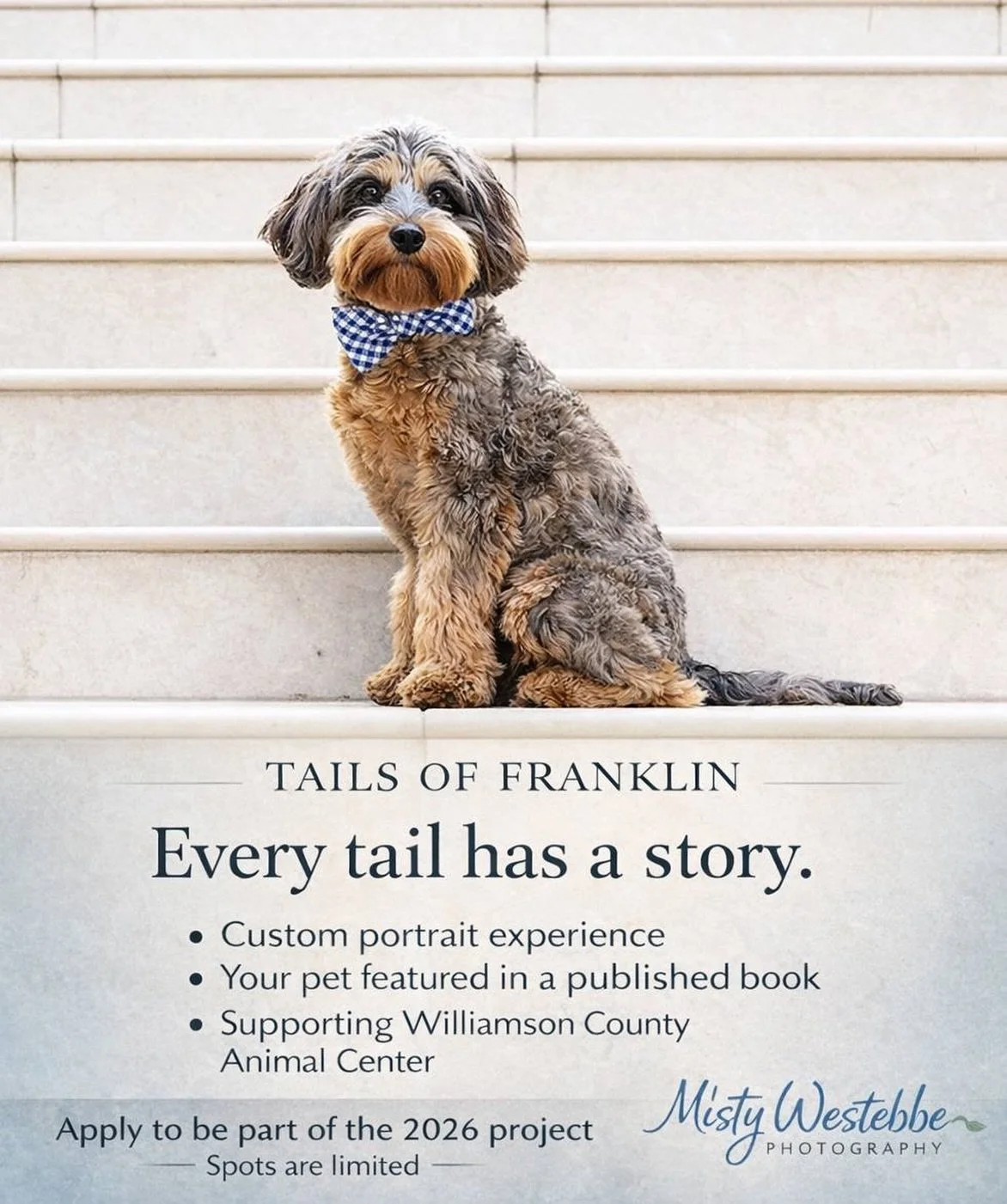It starts with a single story.

A wag of a tail.
A quiet moment.
A bond that doesn&rsquo;t need words.

But when those stories are shared, something powerful happens.

Through *Tails of Franklin*, each pet&rsquo;s story becomes part of something bigg