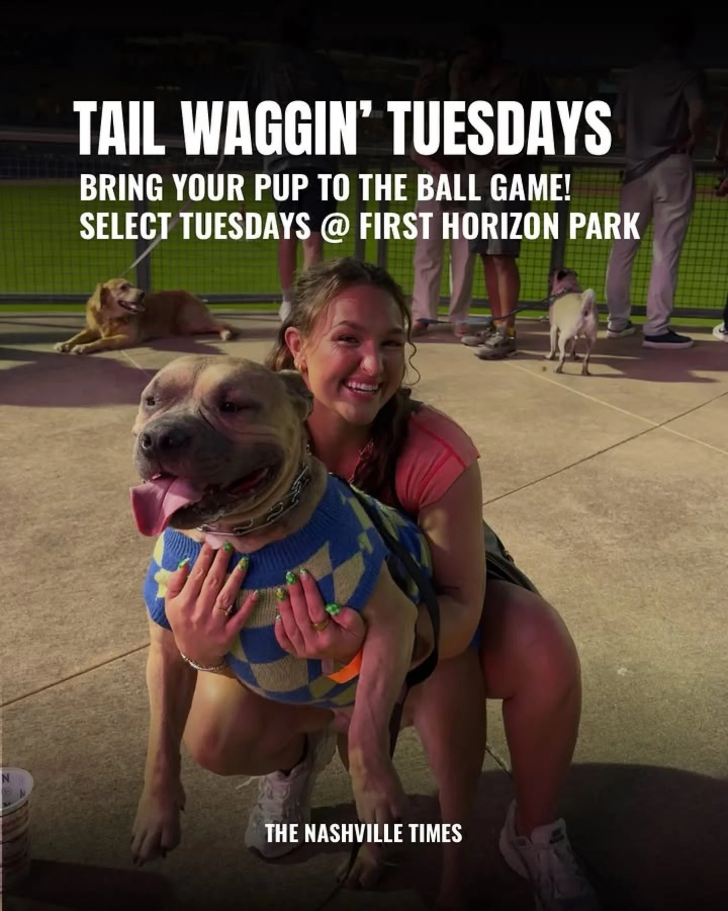 TAIL WAGGIN&rsquo; TUESDAYS ARE BACK @nashvillesounds !

On select Tuesdays, you can bring your pup to the ball game @firsthorizonprk, courtesy of @titosvodka! Enjoy $2 hot dogs, nachos, popcorn and more from the concession stand while supporting a g