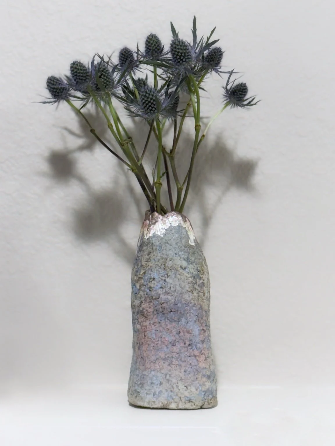 Anthropocene Reliquaries by Steph Guillén: a pale, textured vessel holding blue thistle flowers, photographed in full against a light wall.